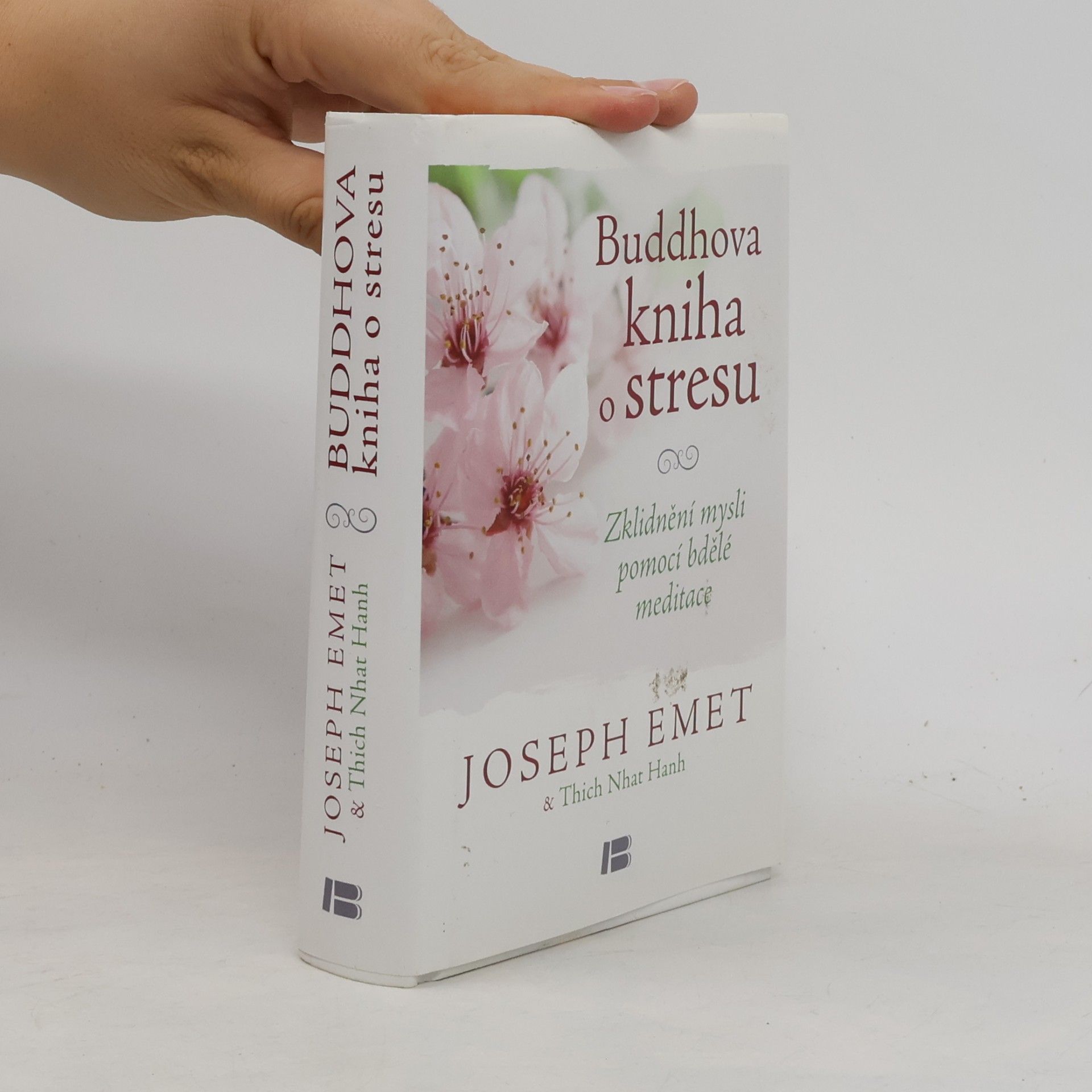 Thich Nhat Hanh Buddhova kniha o stresu: Zklidnění mysli pomocí bdělé meditace