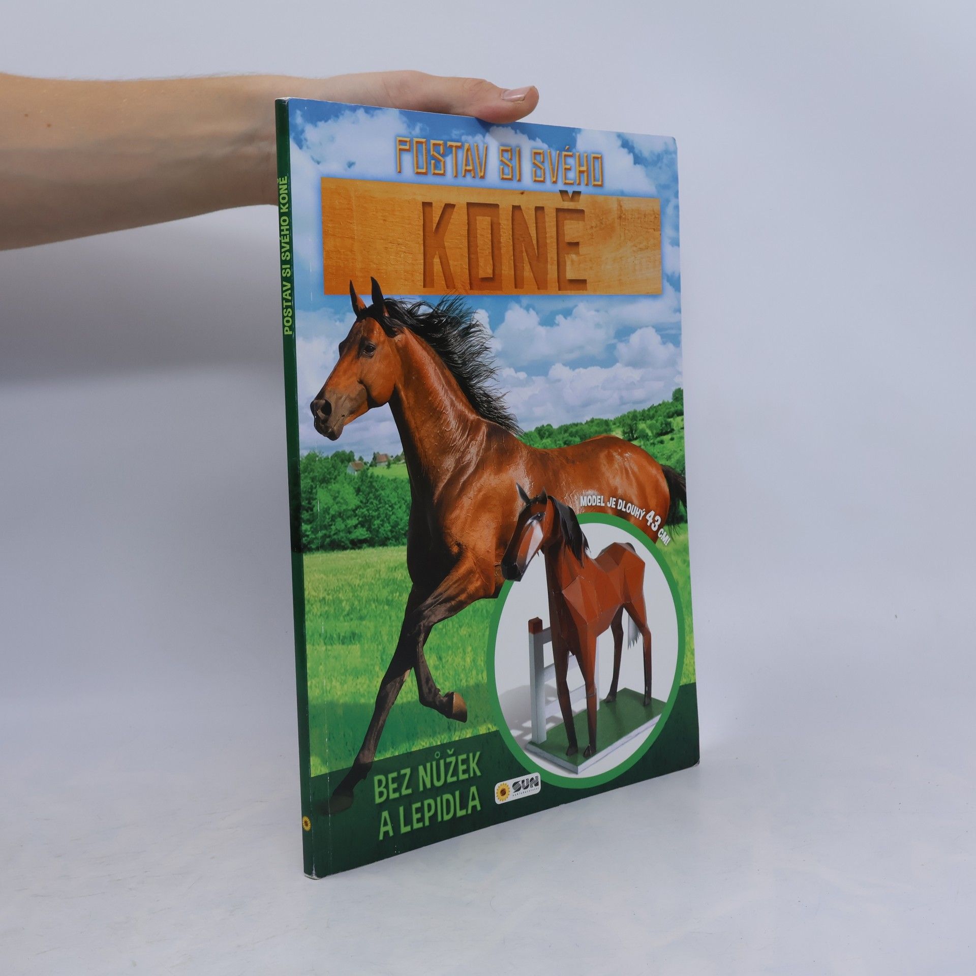 Kolektiv autorů Postav si svého koně