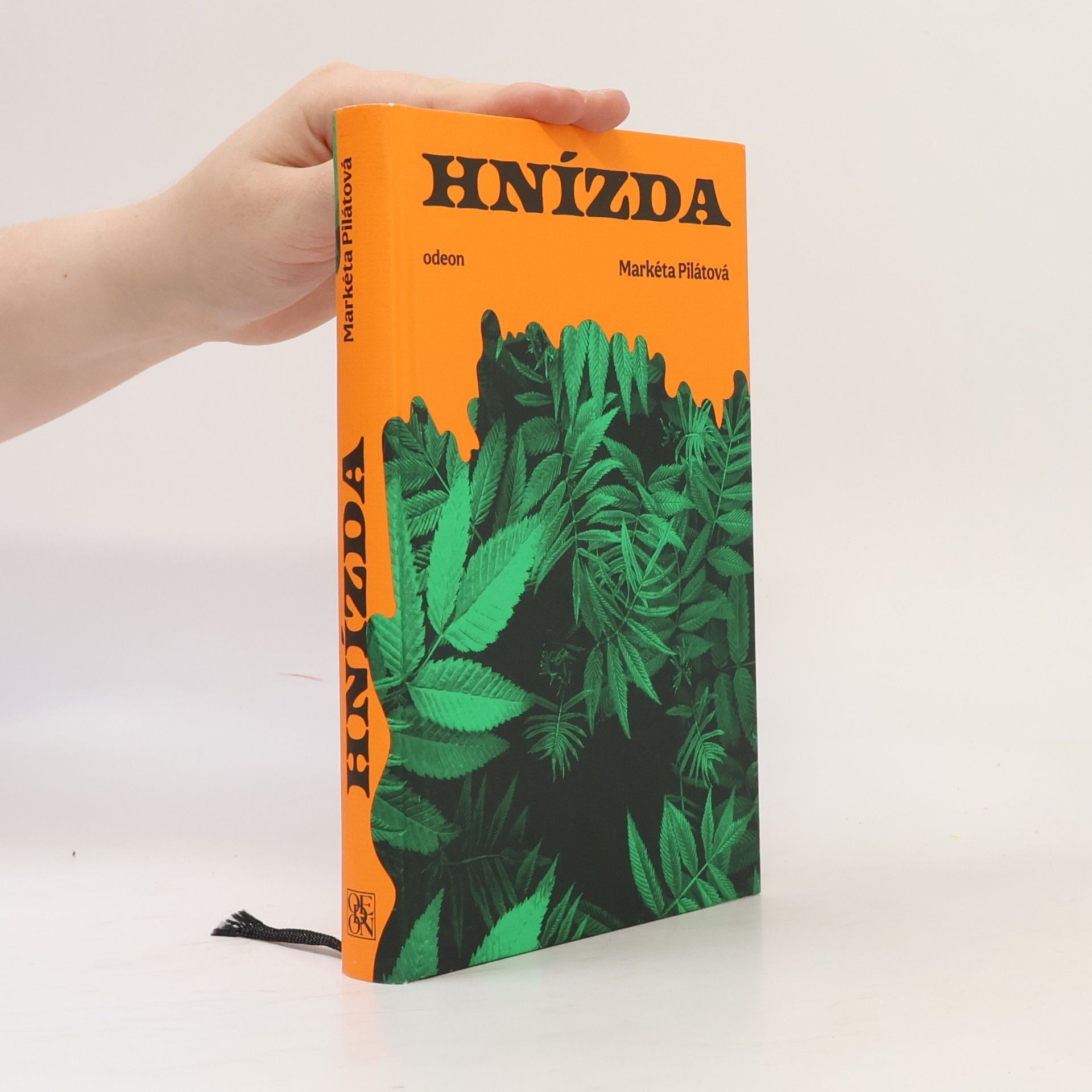 Hnízda