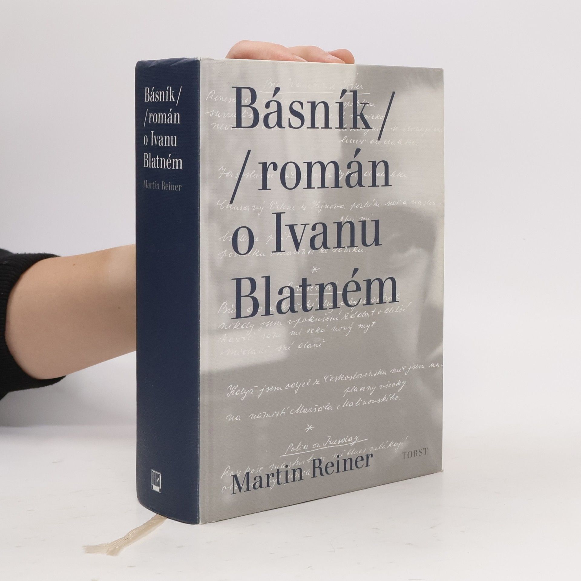 Básník. Román o Ivanu Blatném