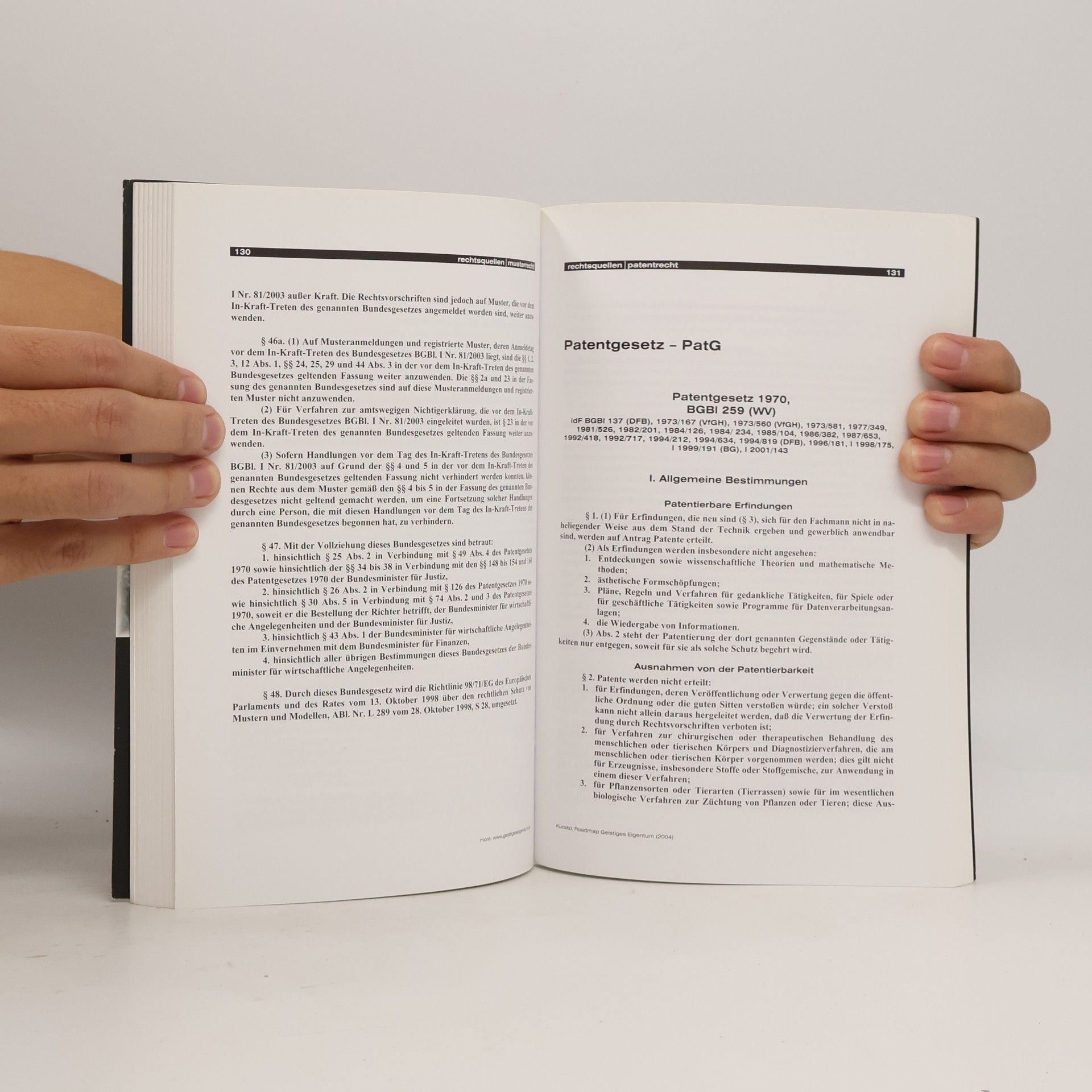 Guido Kucsko Roadmap geistiges Eigentum