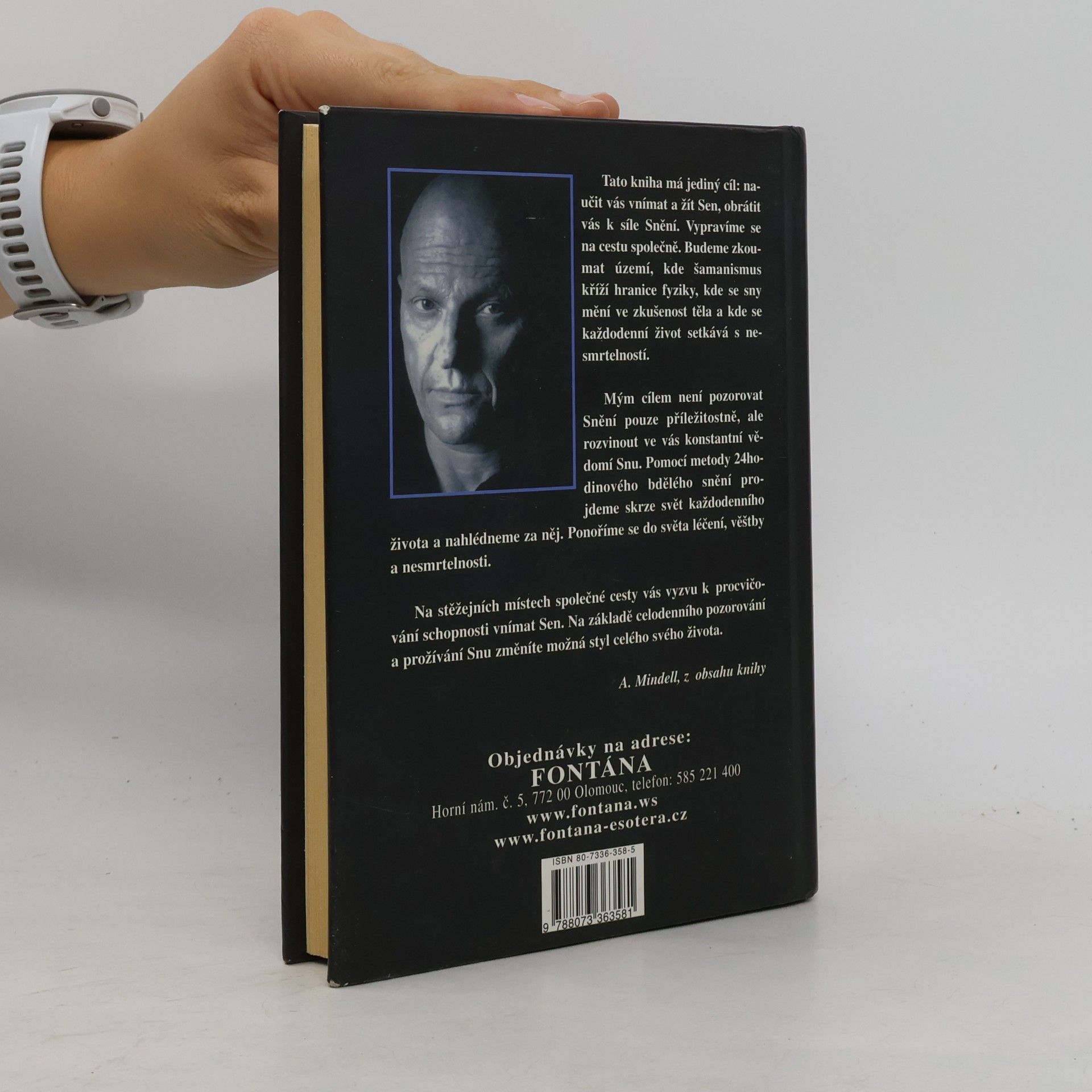 Arnold Mindell Techniky snění v bdělém stavu / Šamanismus v praxi
