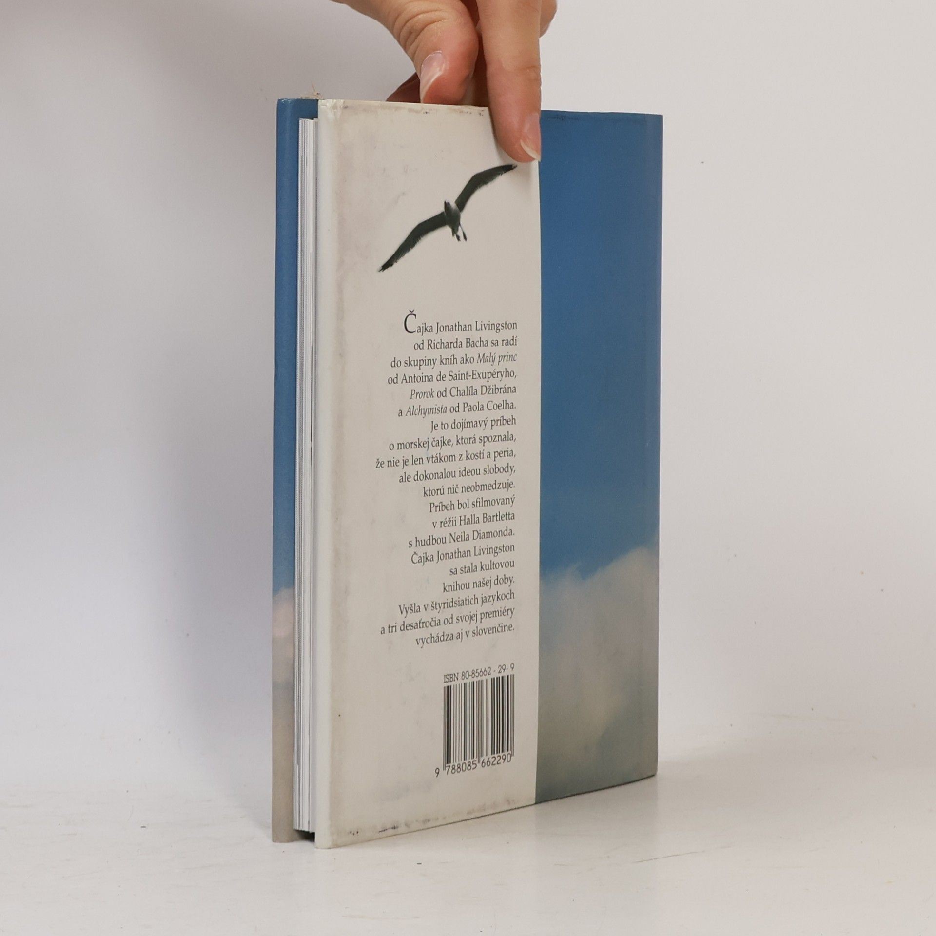 Richard Bach Čajka Jonathan Livingston