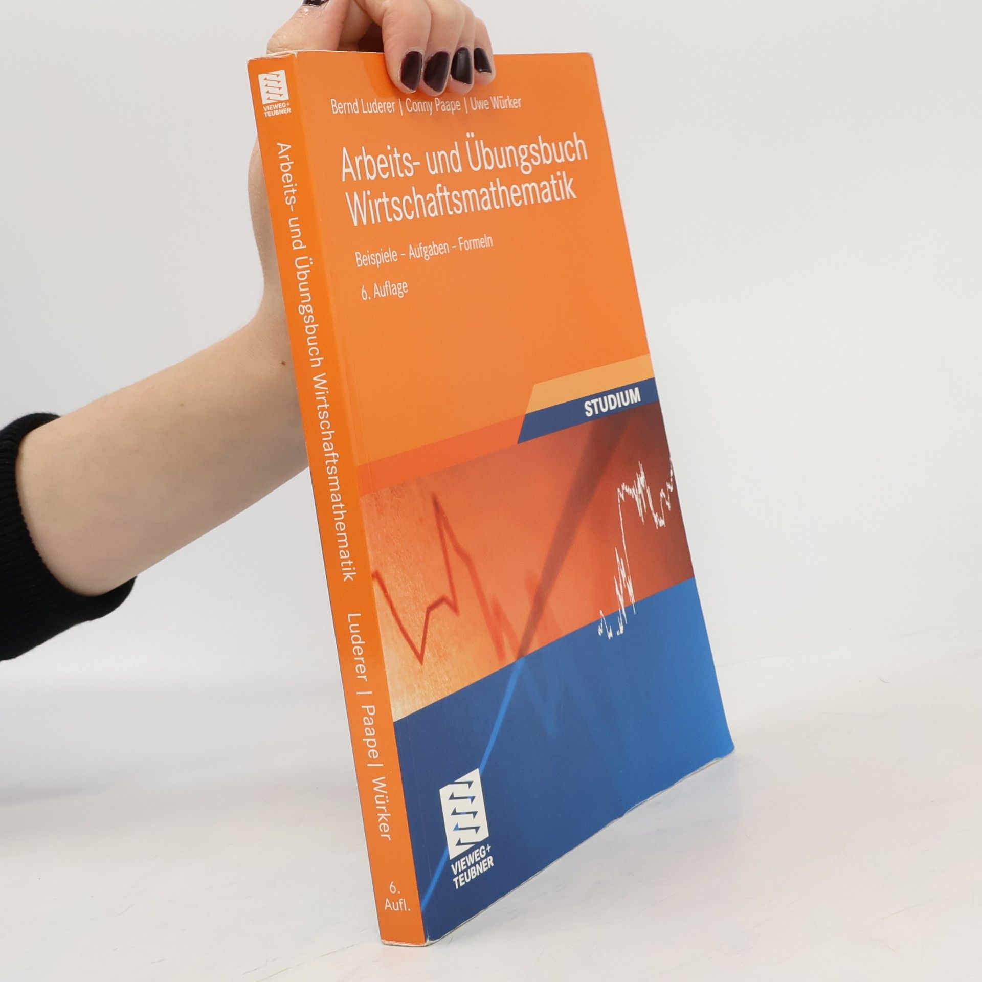 Bernd Luderer Arbeits- und Übungsbuch Wirtschaftsmathematik