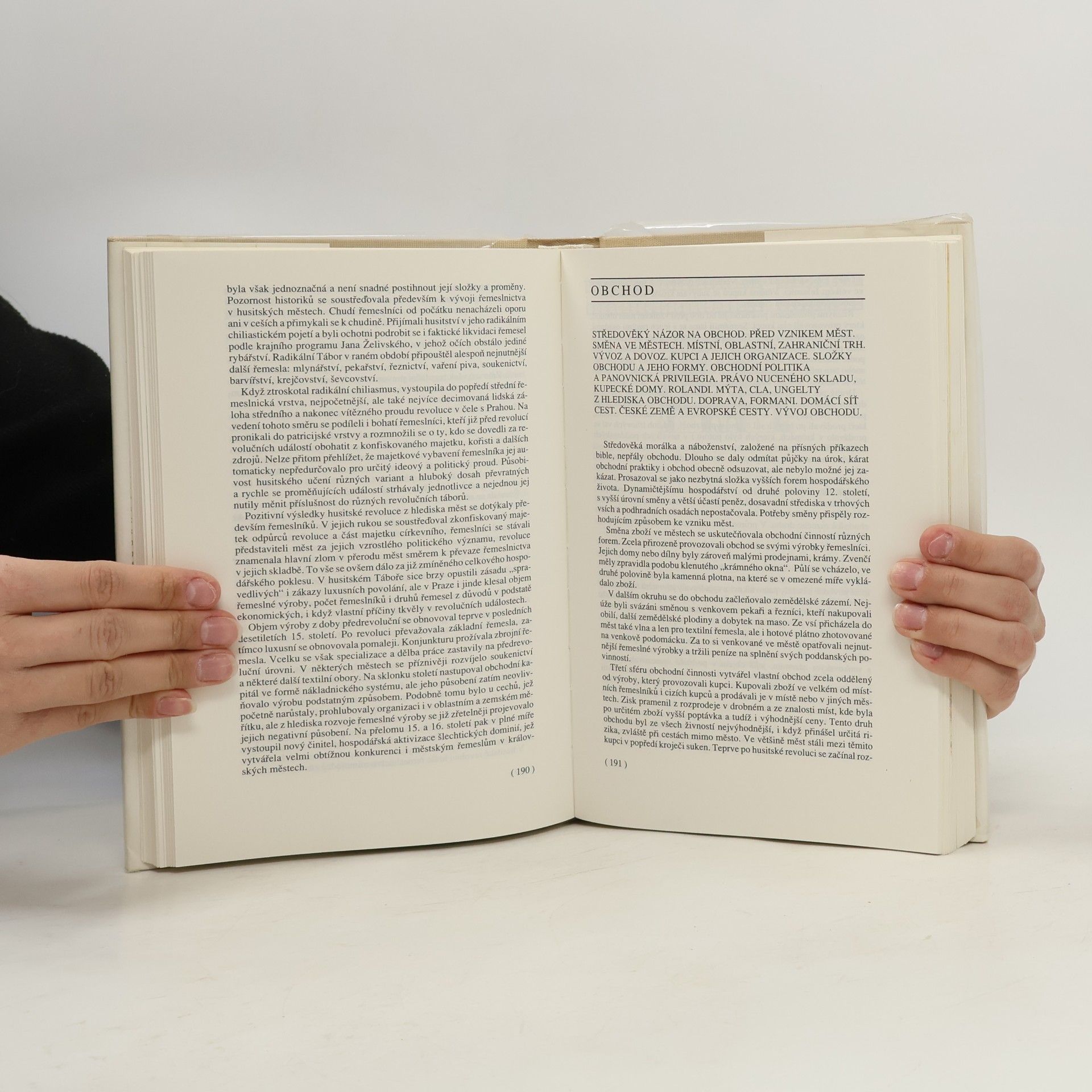 František Hoffmann České město ve středověku