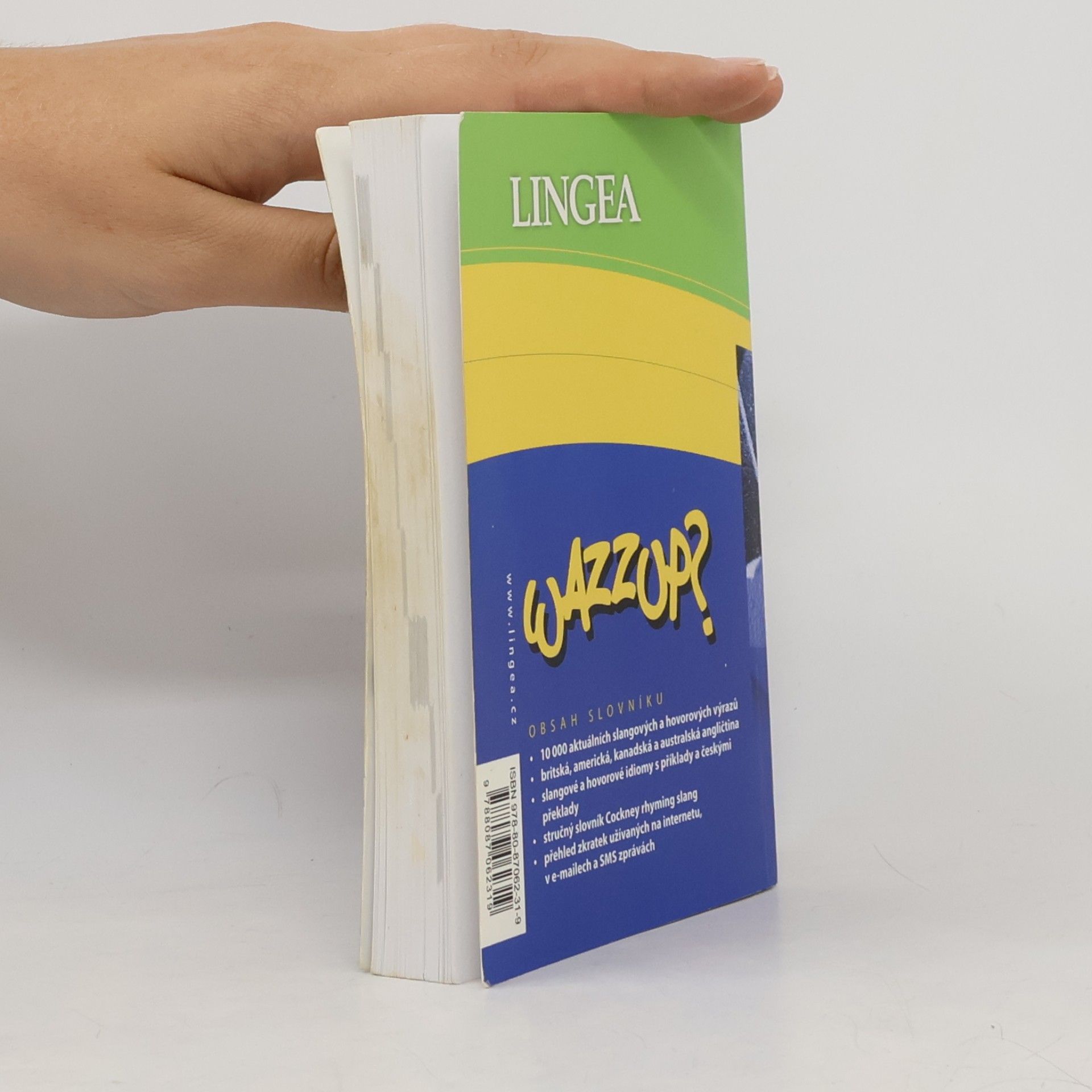 Autorenkollektiv Wazzup? : slovník slangu a hovorové angličtiny