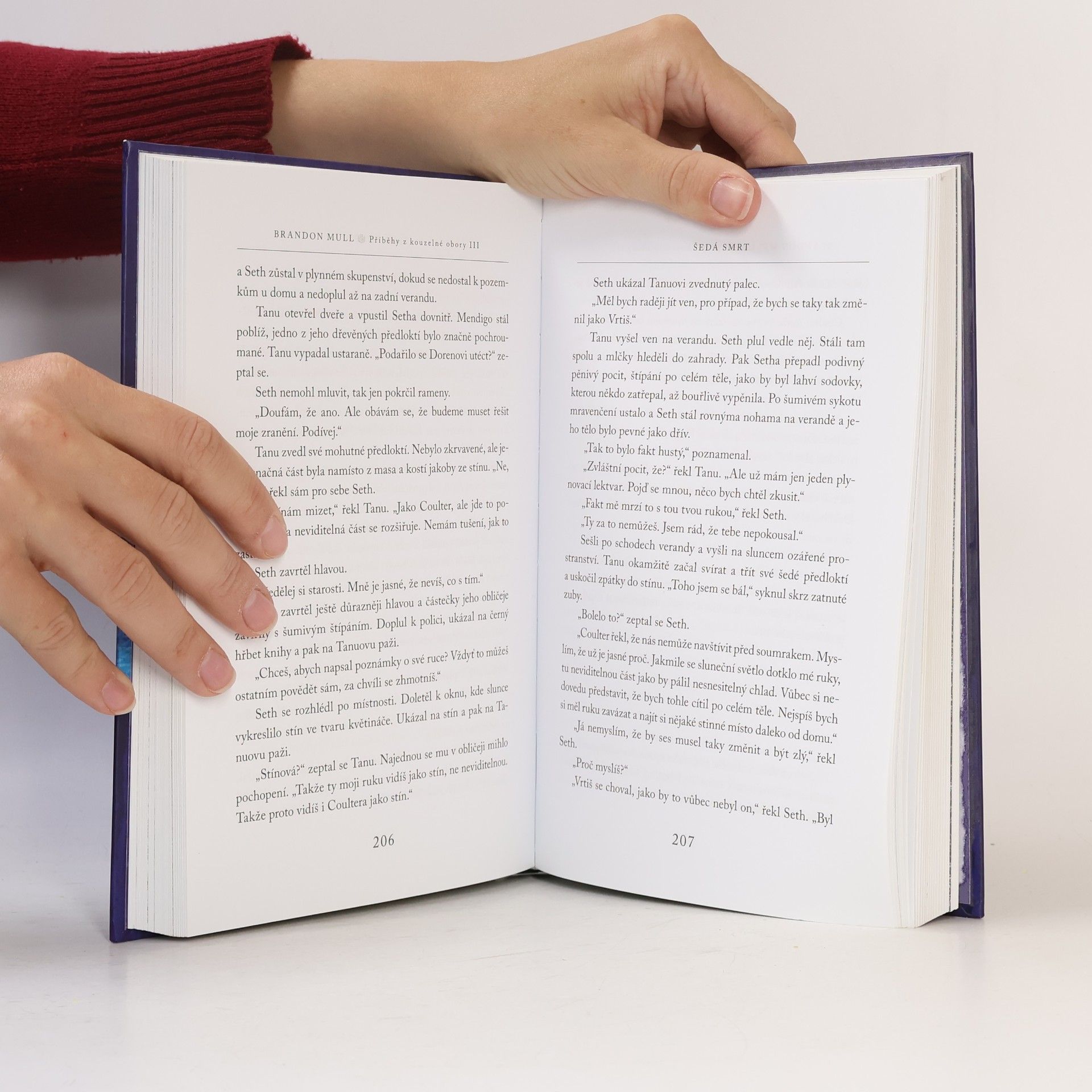 Brandon Mull Příběhy z kouzelné obory 3. Šedá smrt