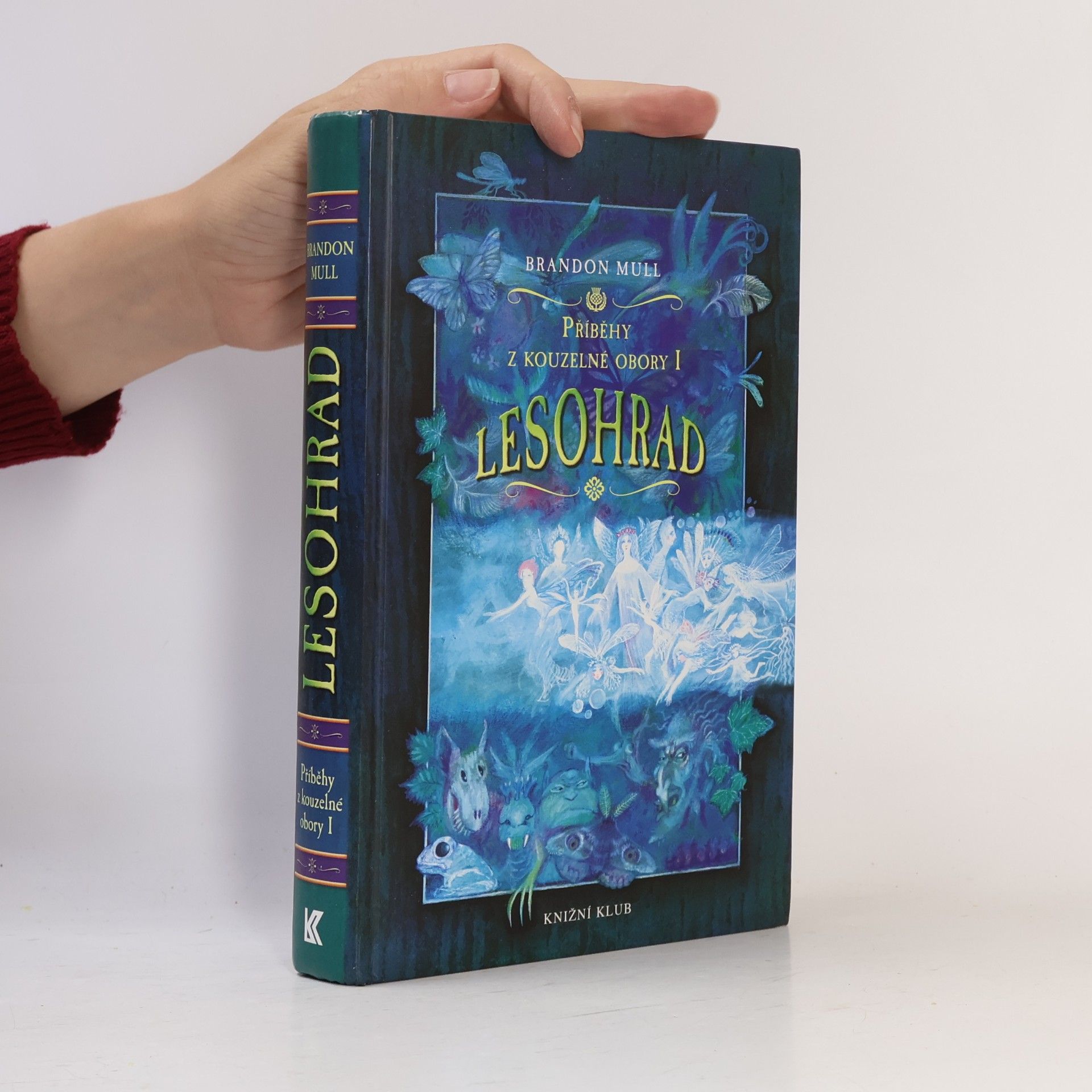 Brandon Mull Příběhy z kouzelné obory 1. Lesohrad