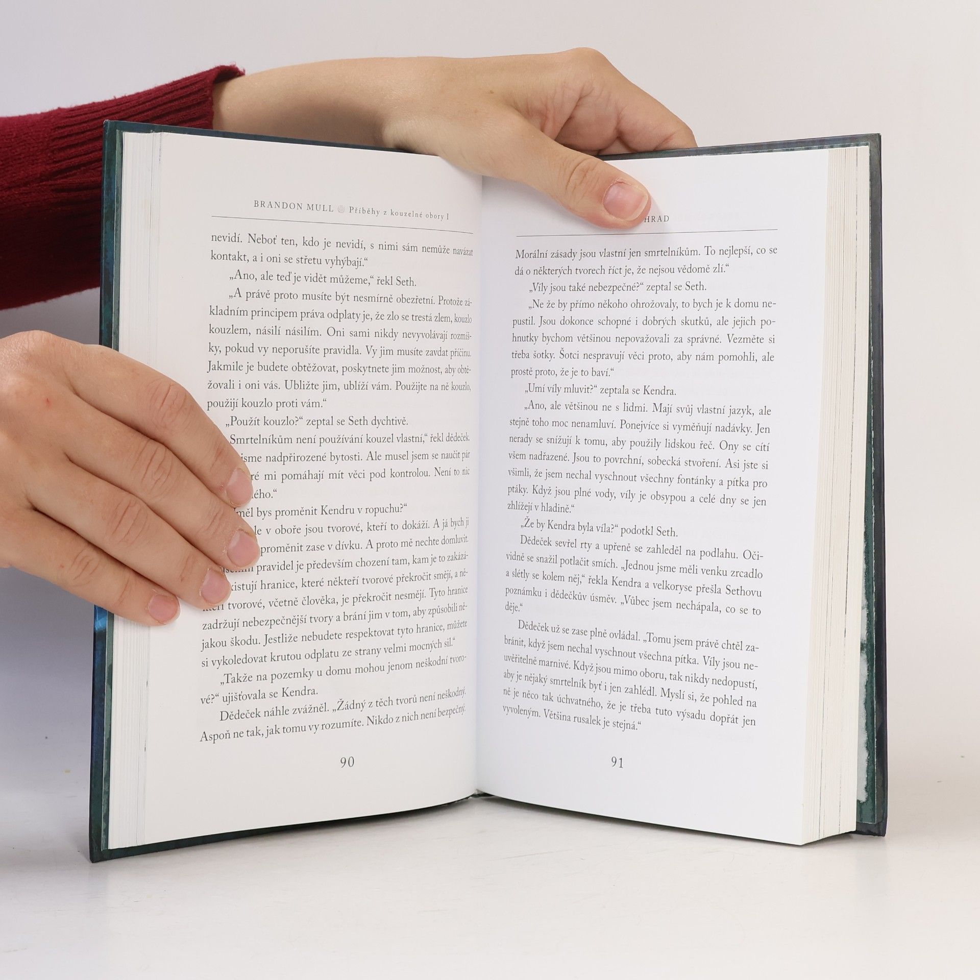Brandon Mull Příběhy z kouzelné obory 1. Lesohrad