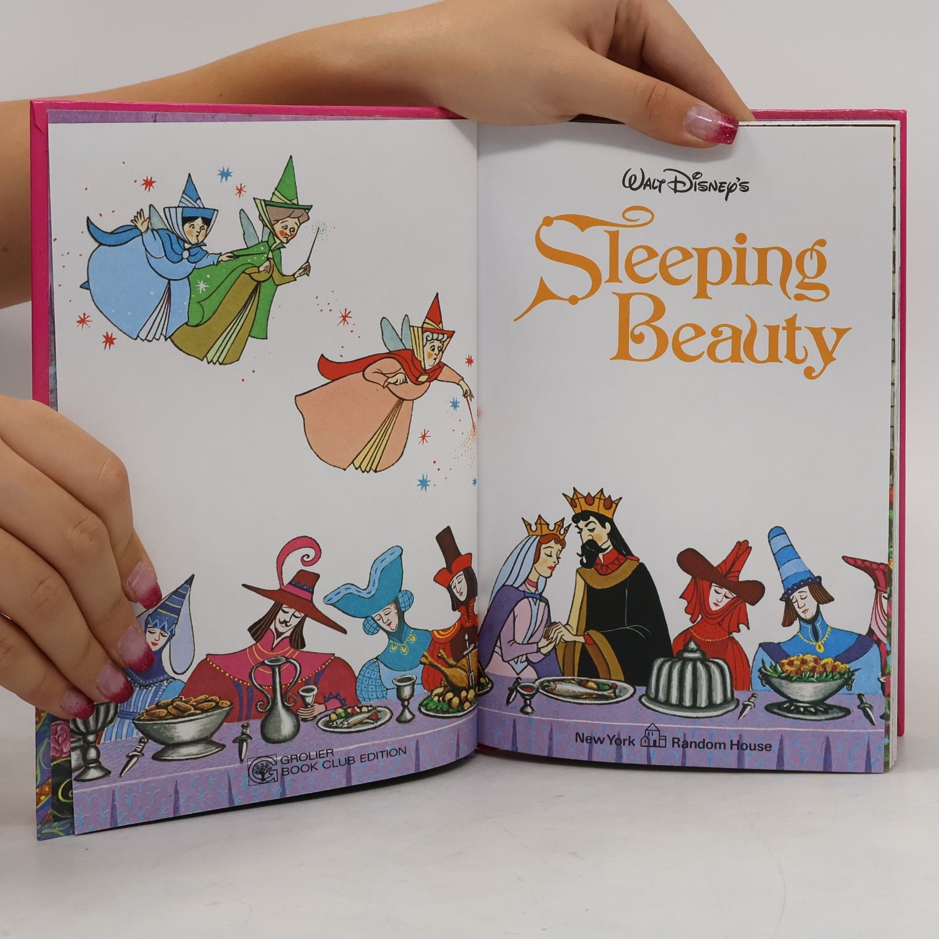 Autorenkollektiv Sleeping Beauty