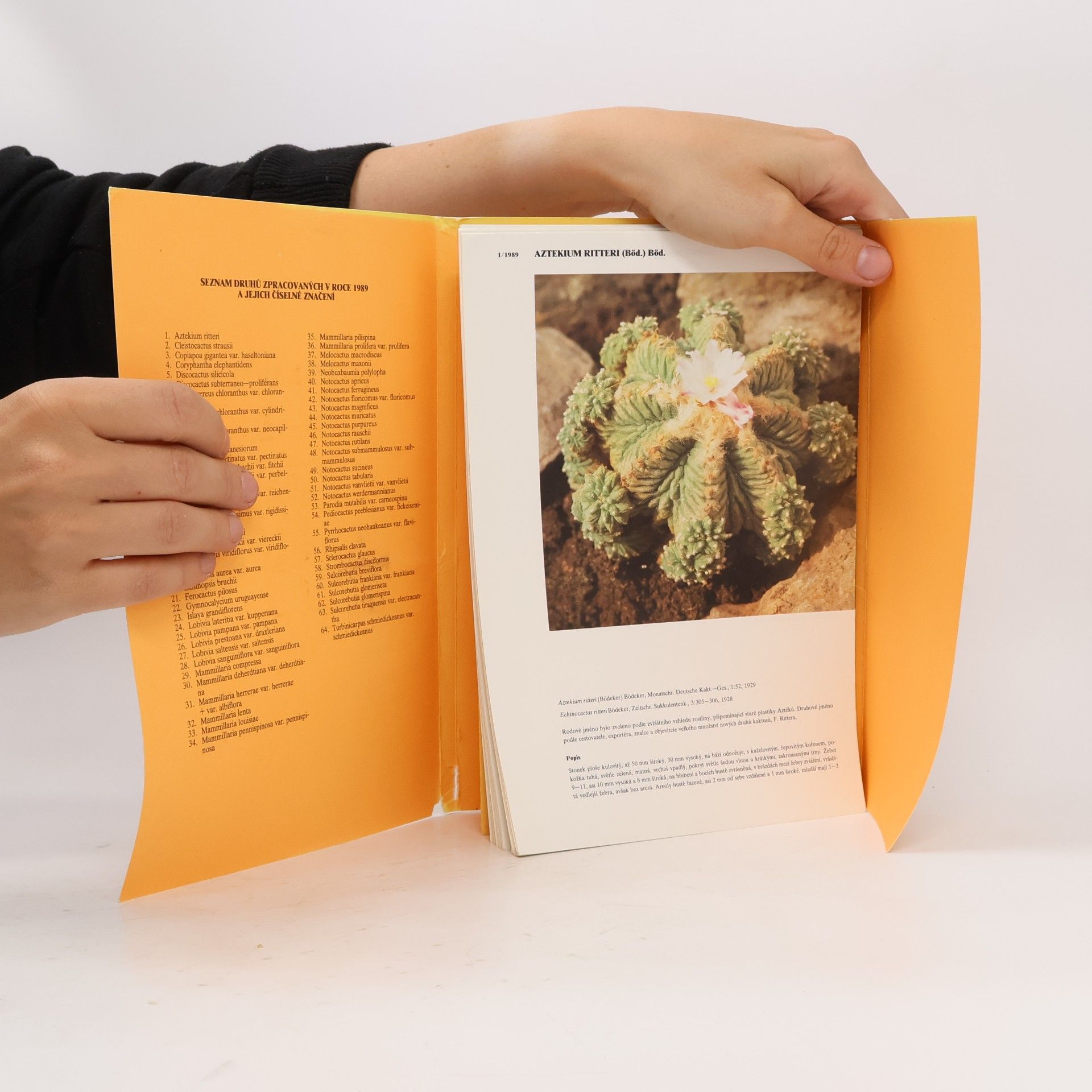 Collectif d'auteurs Atlas kaktusů (1-64) IV.