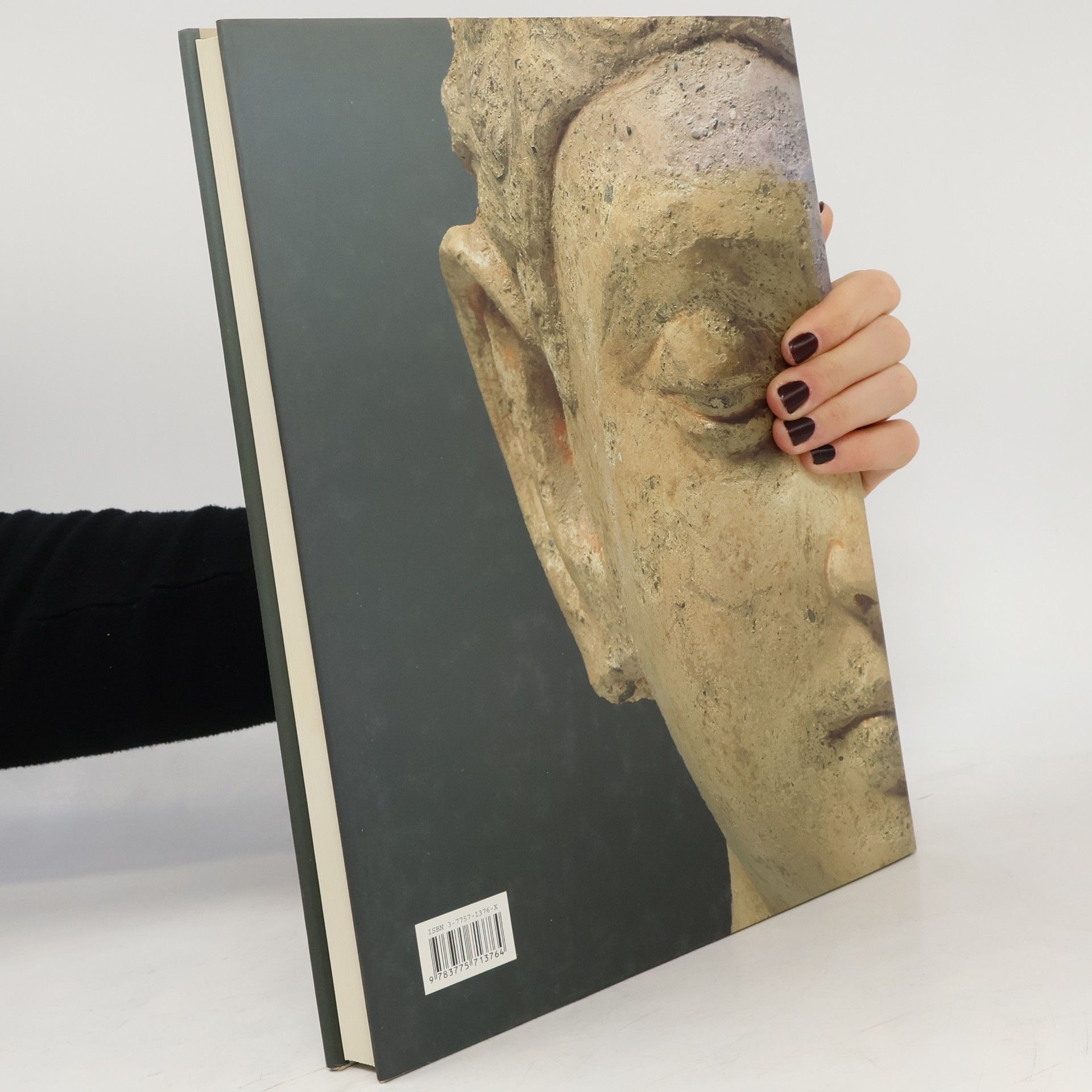 Chhaya Bhattacharya-Haesner Kunst an der Seidenstraße