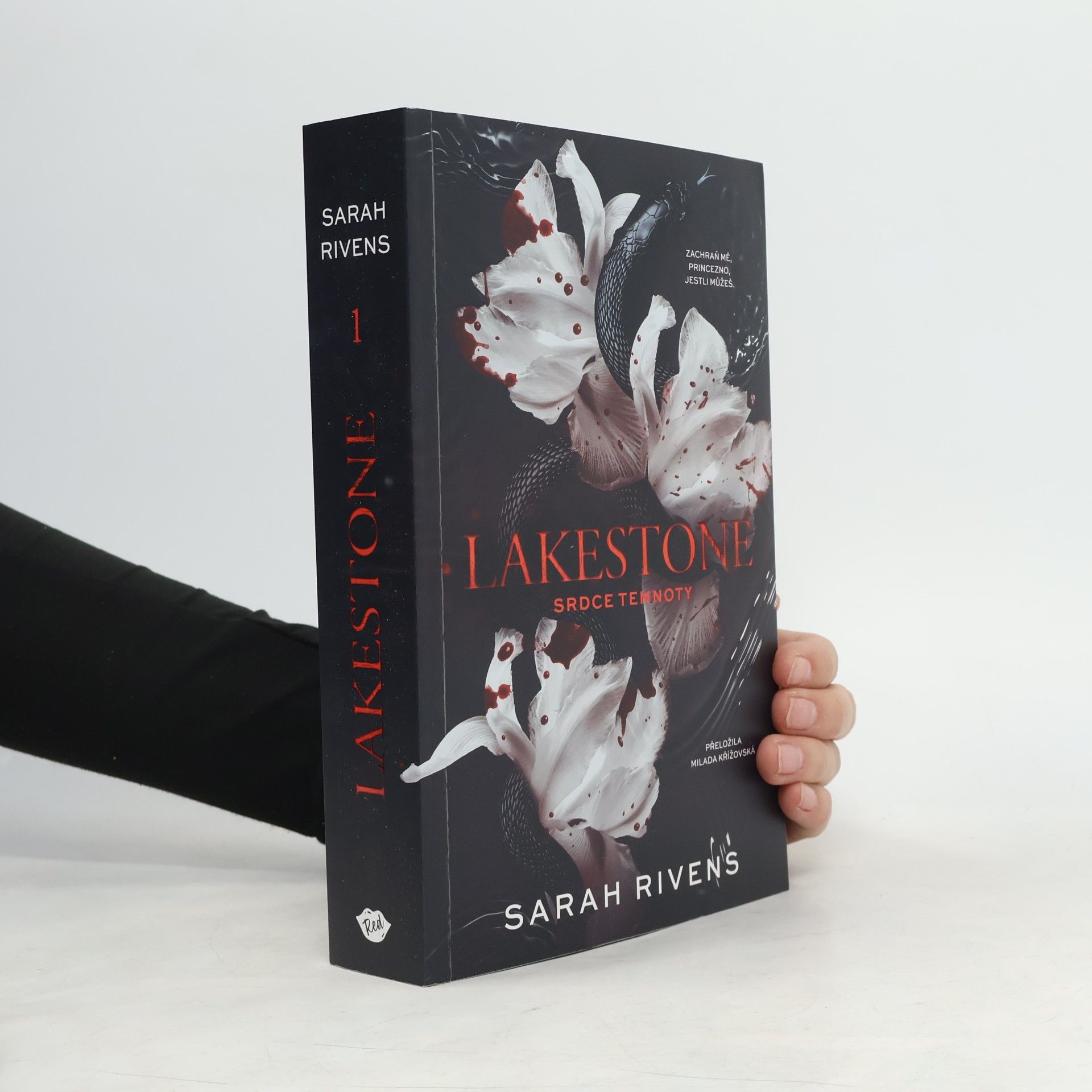 Lakestone: Srdce temnoty