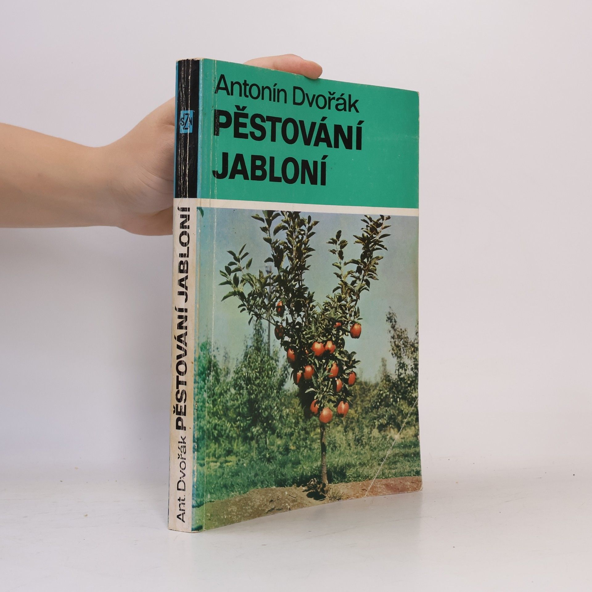 Pěstování jabloní