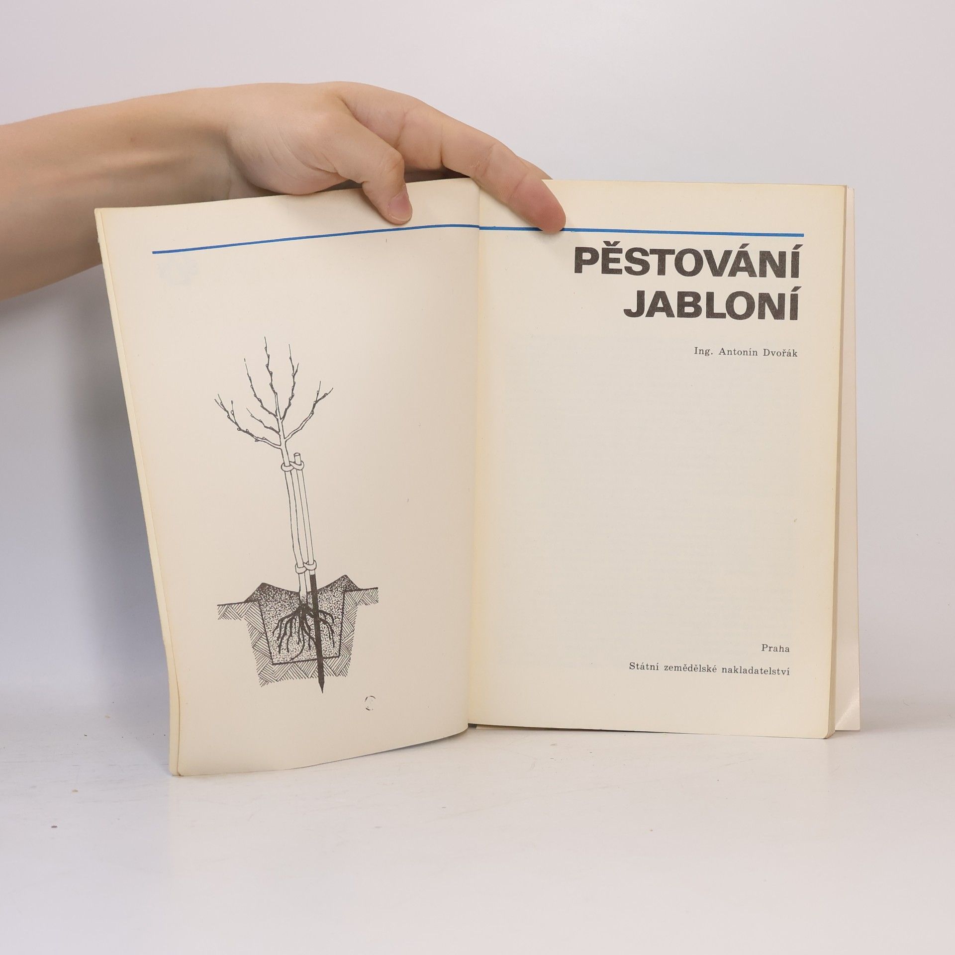Antonín Dvořák Pěstování jabloní