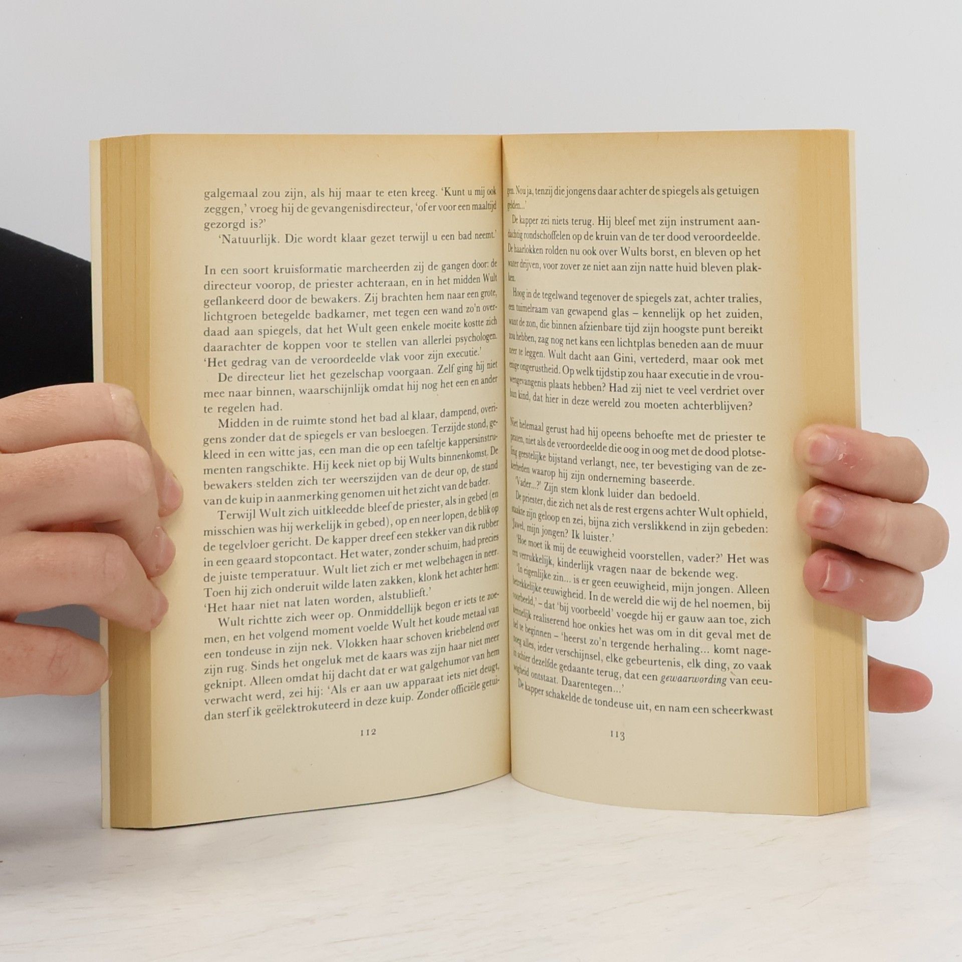 A. F. Th. van der Heijden Het leven uit een dag