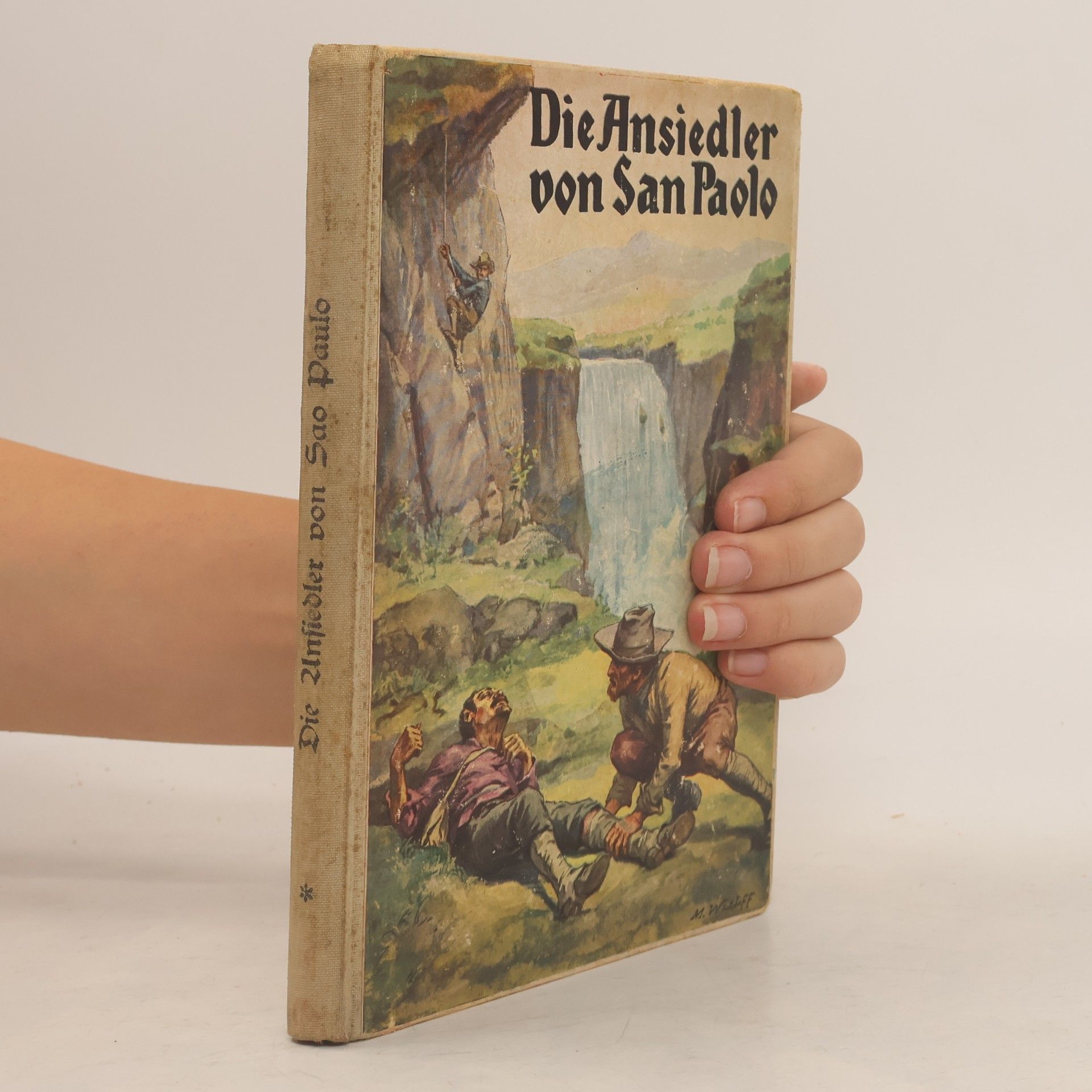 Kolektiv autorů Die Ansiedler von San Paolo