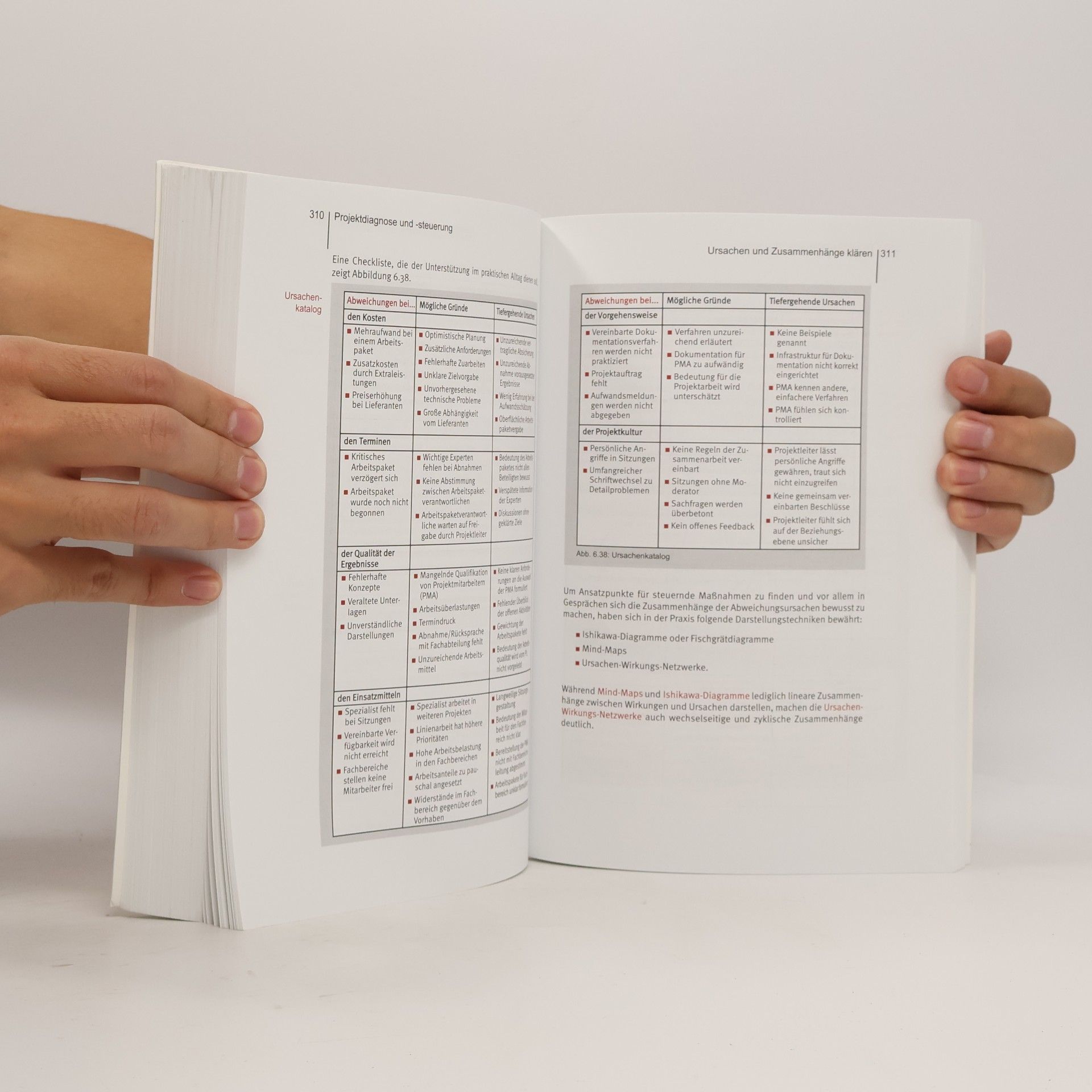 Karl Pfetzing ibo Schriftenreihe - 2: Ganzheitliches Projektmanagement