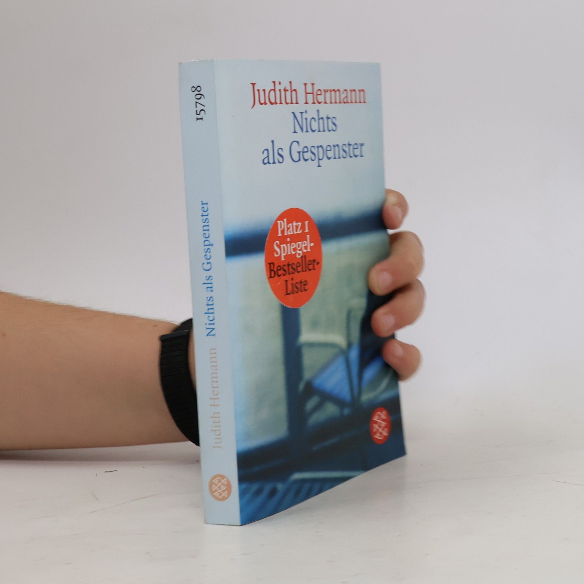 Judith Hermann Nichts als Gespenster