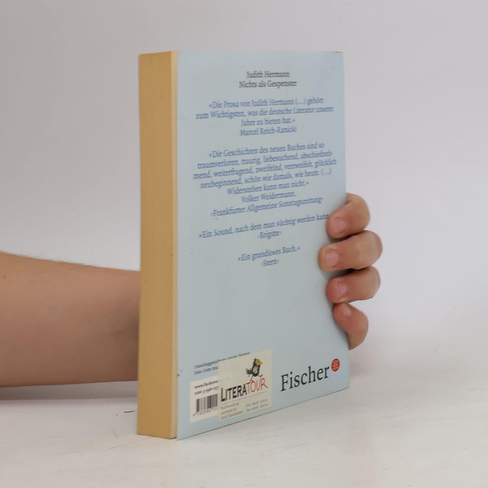 Judith Hermann Nichts als Gespenster
