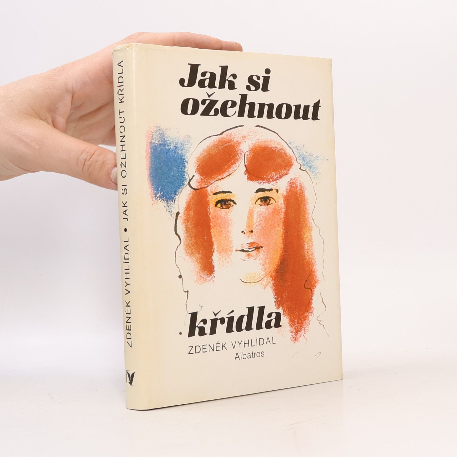Zdeněk Vyhlídal Jak si ožehnout křídla