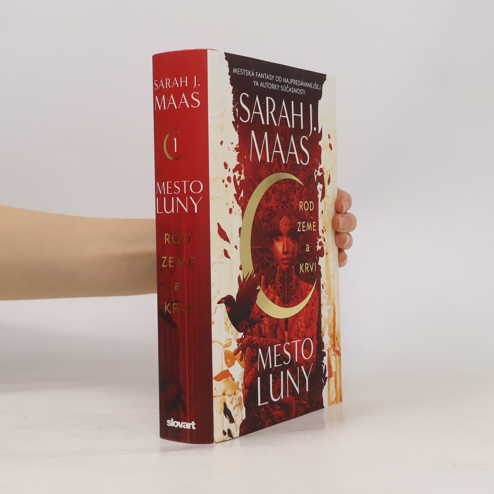 Sarah J. Maas Rod zeme a krvi