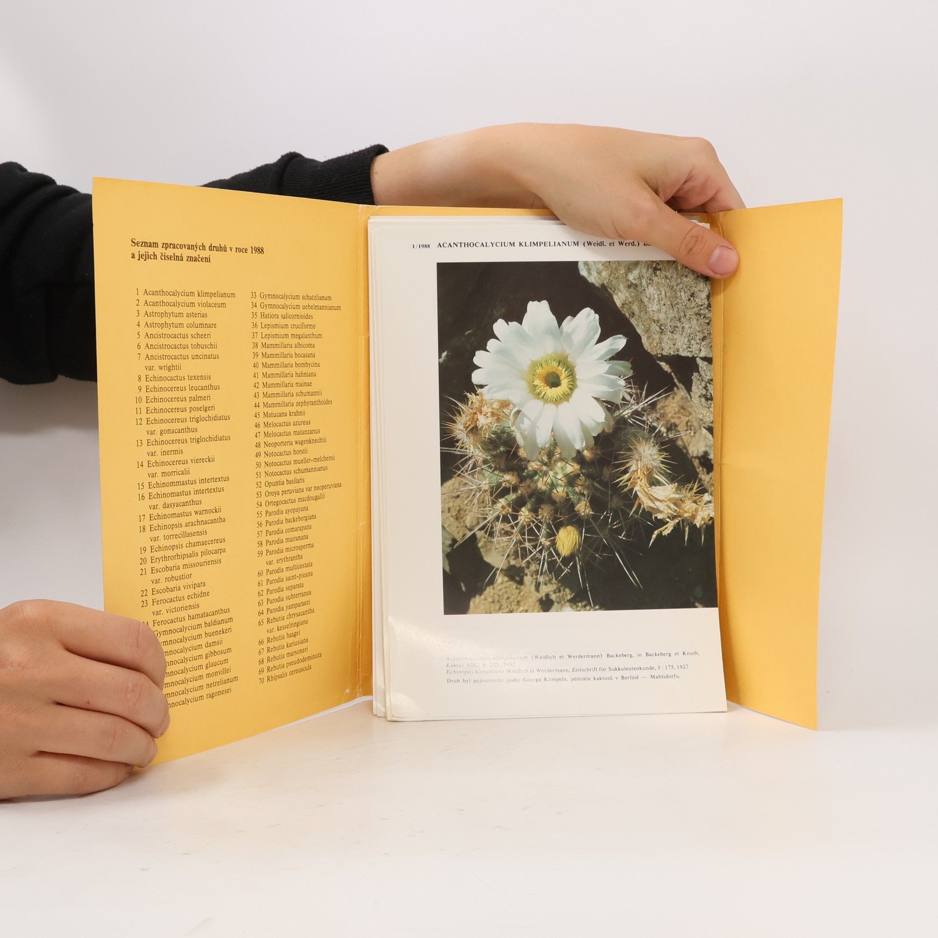 Otakar Šída Atlas kaktusů 1998 III.