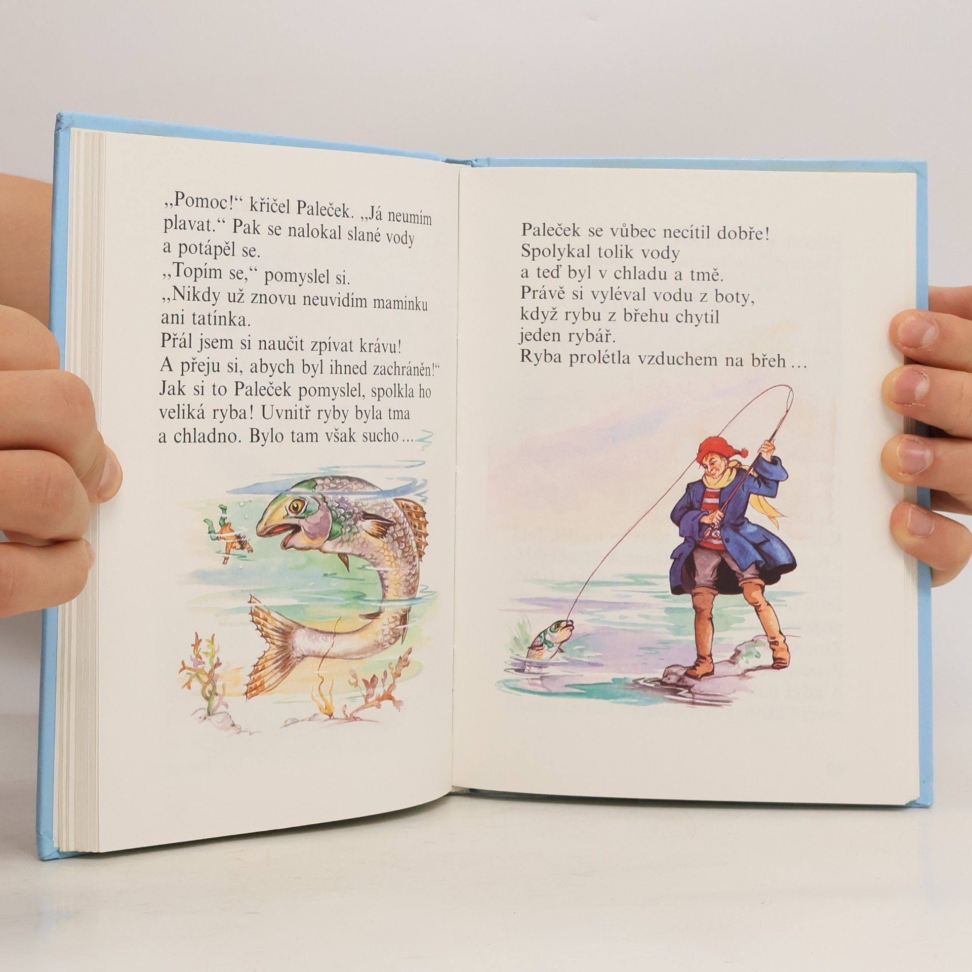 Howard Hall Kamarádka pohádka : klasické pohádky pro děti