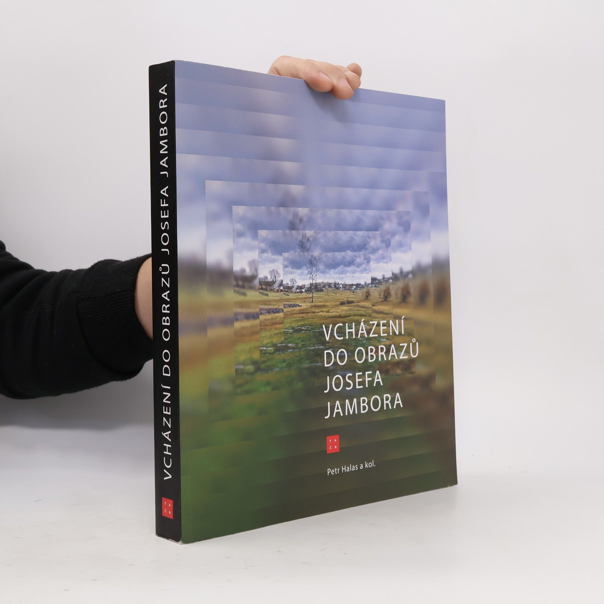 Petr Halas Vcházení do obrazů Josefa Jambora