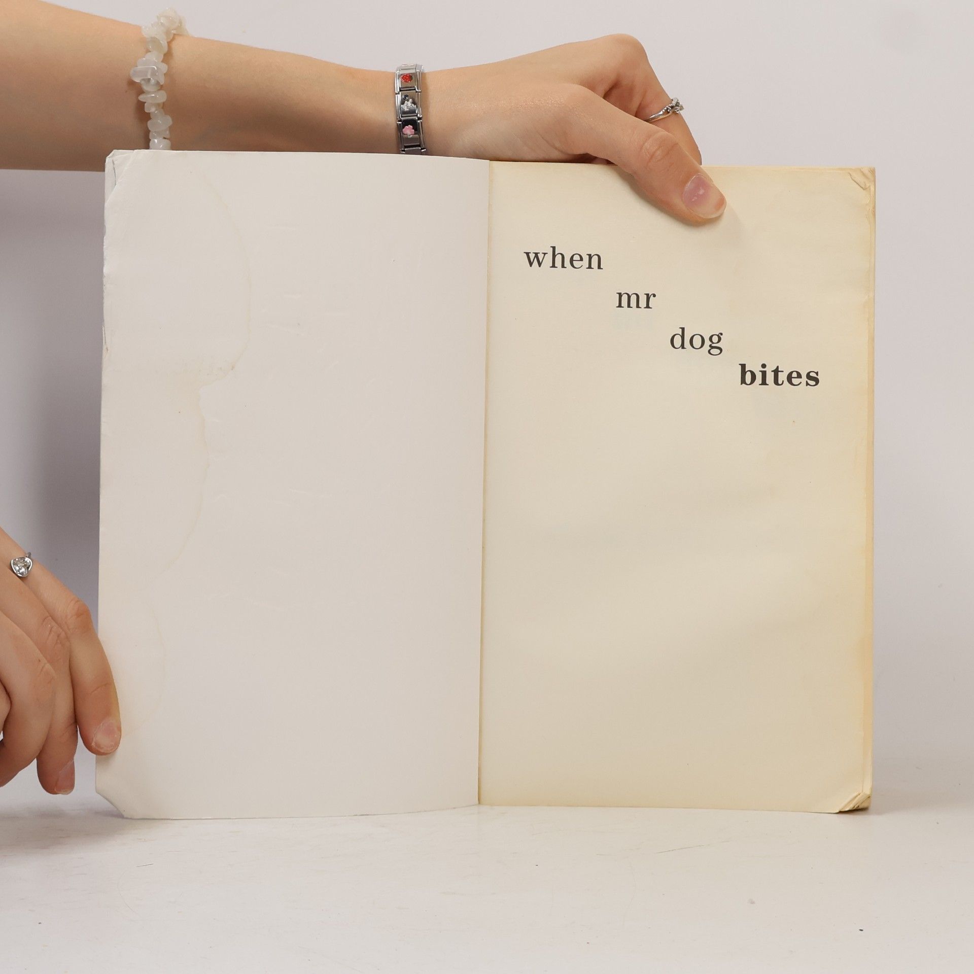 Brian Conaghan When Mr Dog Bites