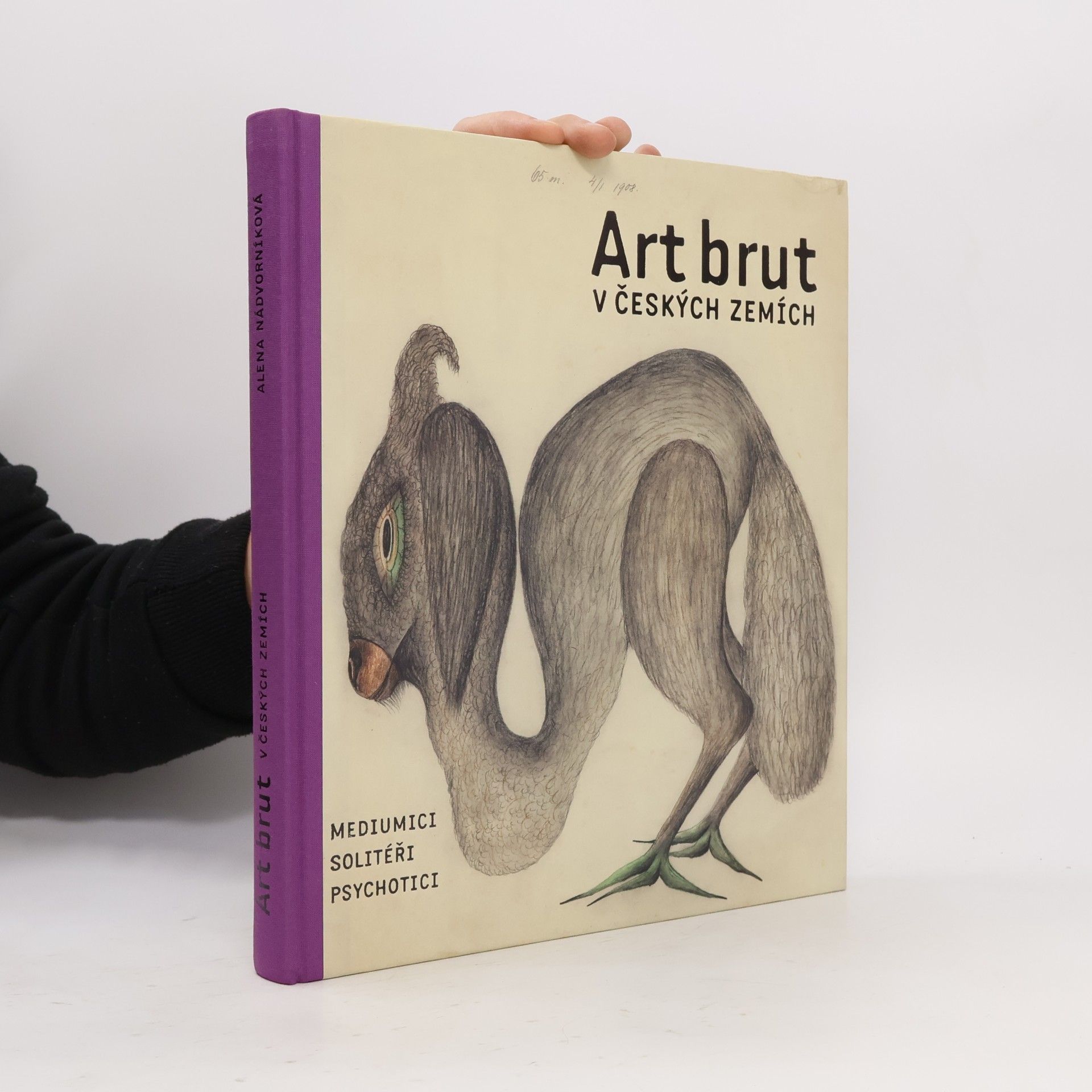 Alena Nádvorníková Art brut v českých zemích : mediumici, solitéři, psychotici