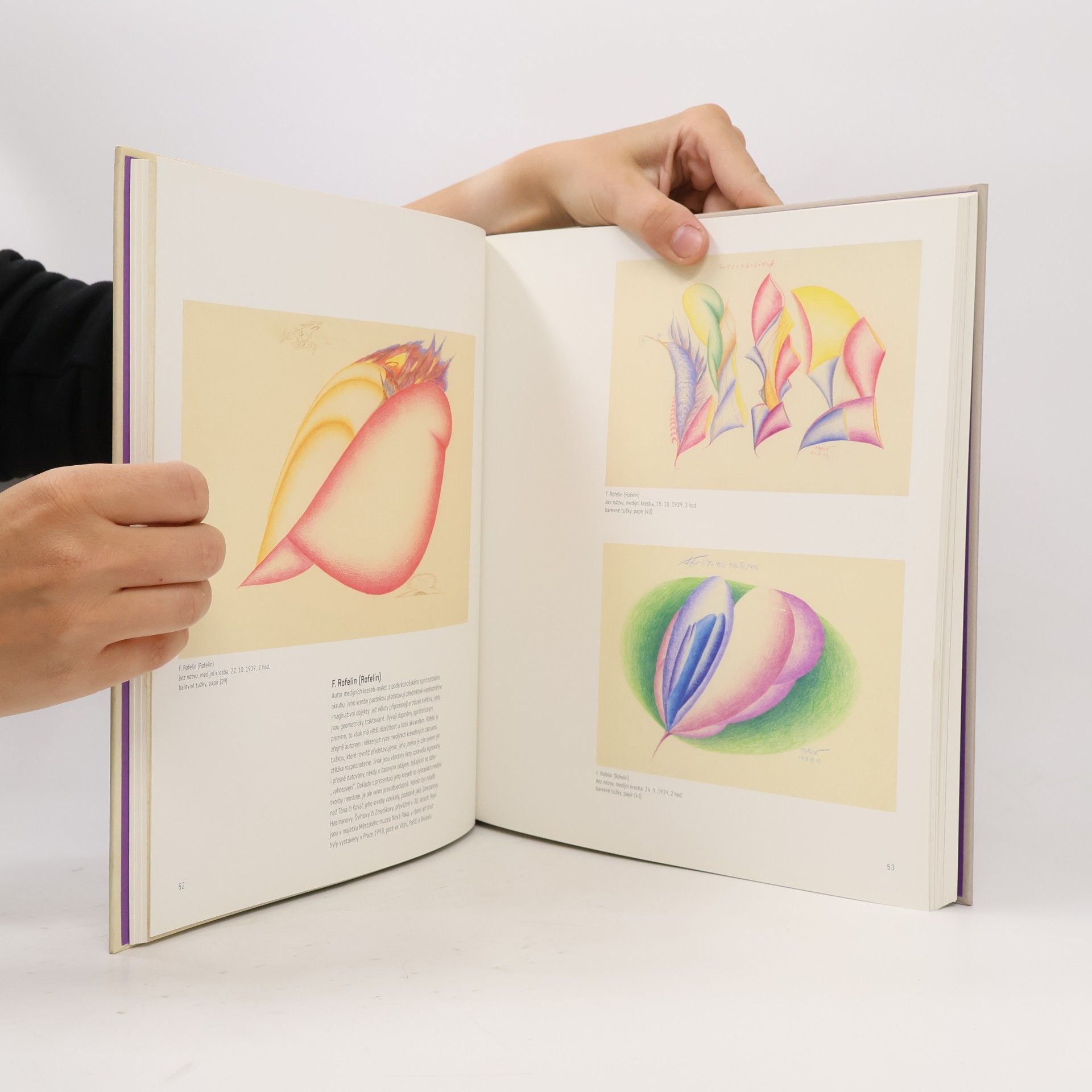 Alena Nádvorníková Art brut v českých zemích : mediumici, solitéři, psychotici