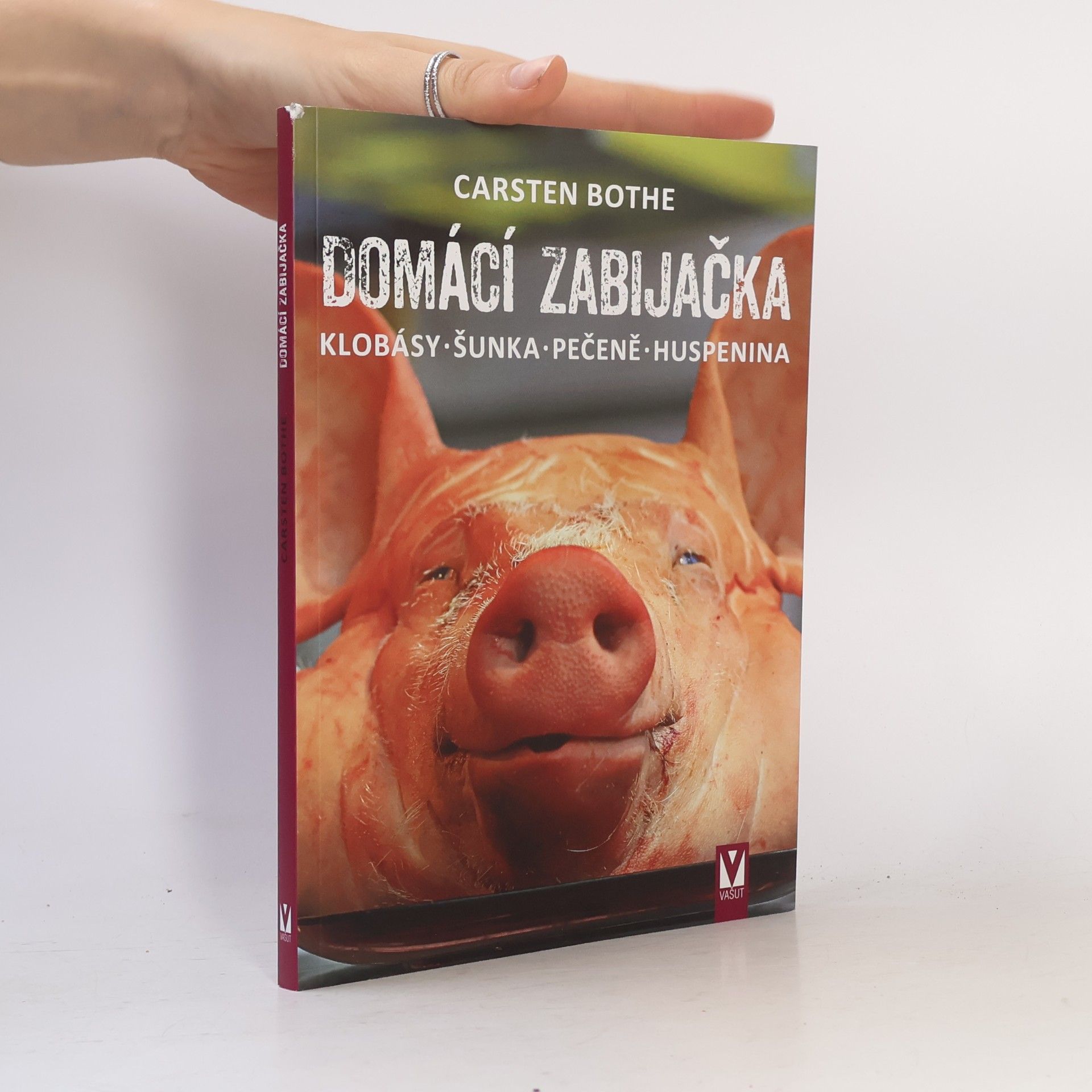 Carsten Bothe Domácí zabijačka: Klobásy, šunka, pečeně, huspenina