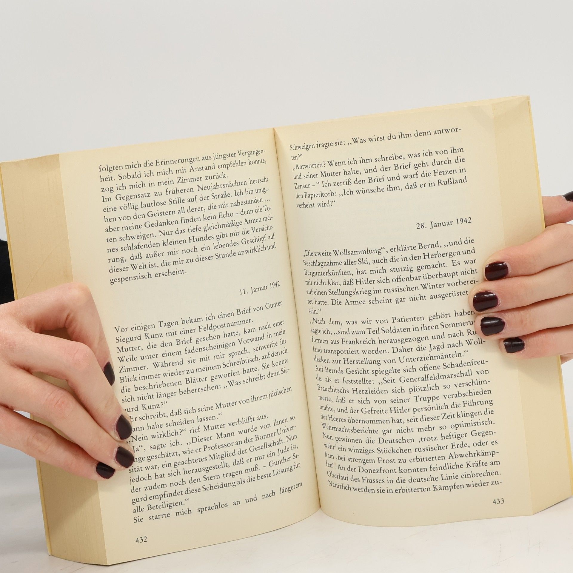 Lili Hahn bis alles in Scherben fällt. Tagebuchblätter 1933 - 1945
