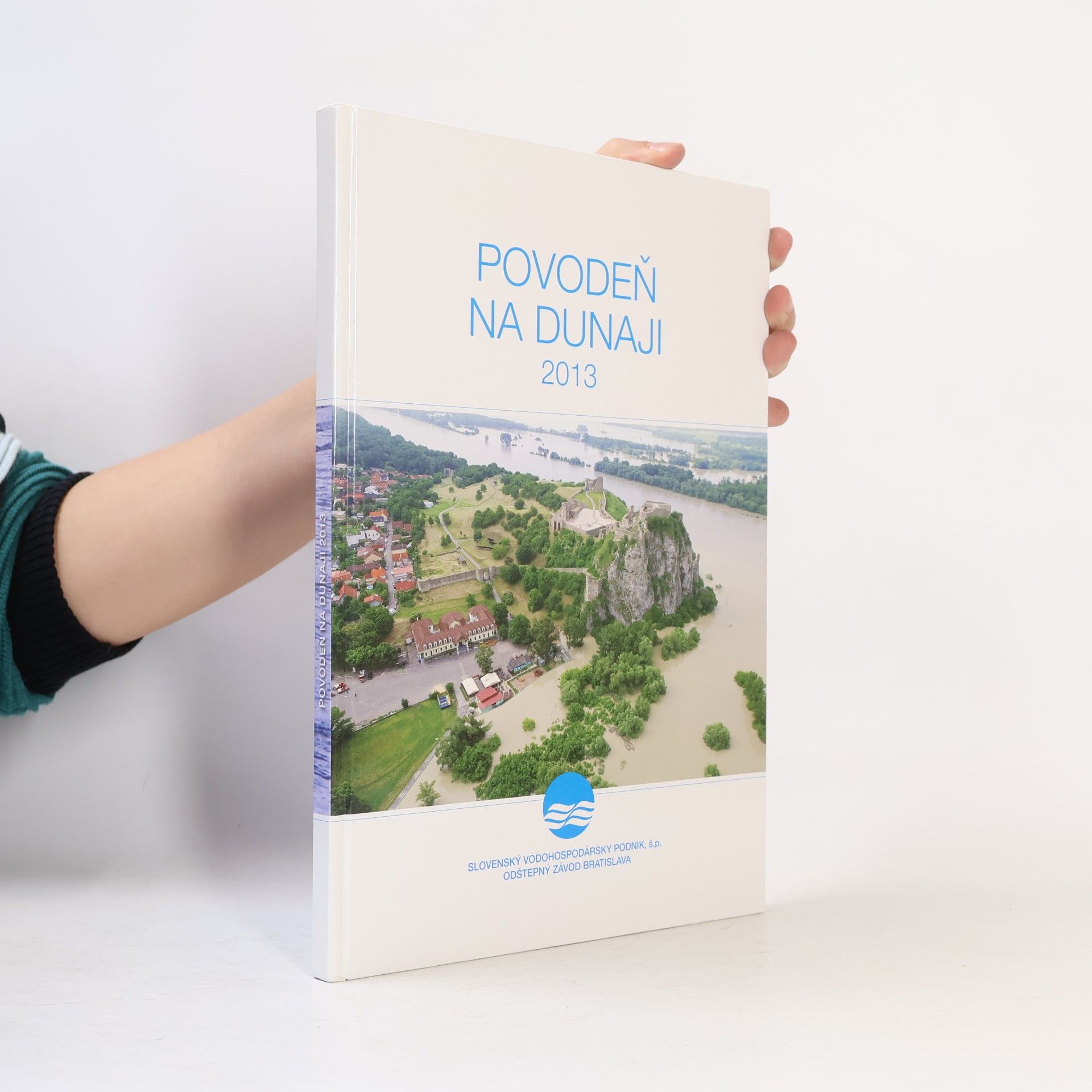 Kolektiv autorů Povodeň na Dunaji