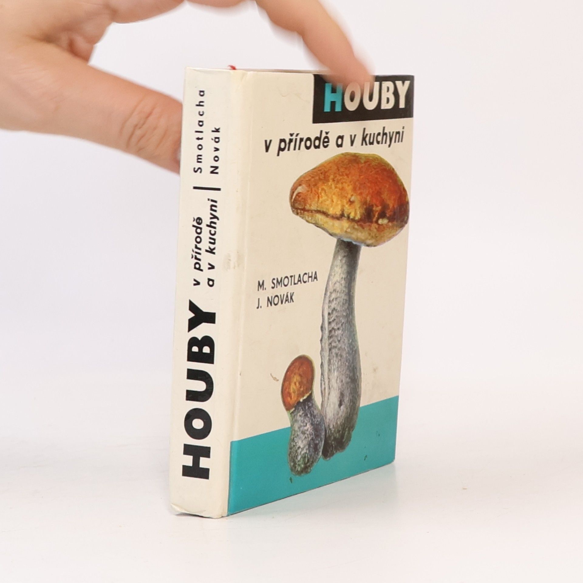 Houby v přírodě a v kuchyni