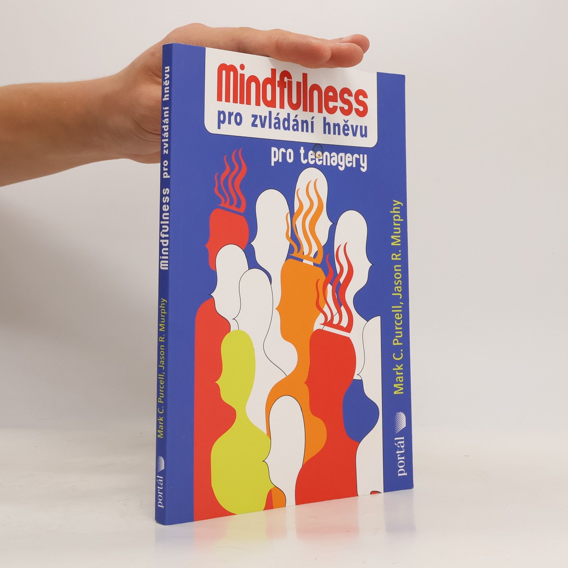 Jason R. Murphy Mindfulness pro zvládání hněvu pro teenagery