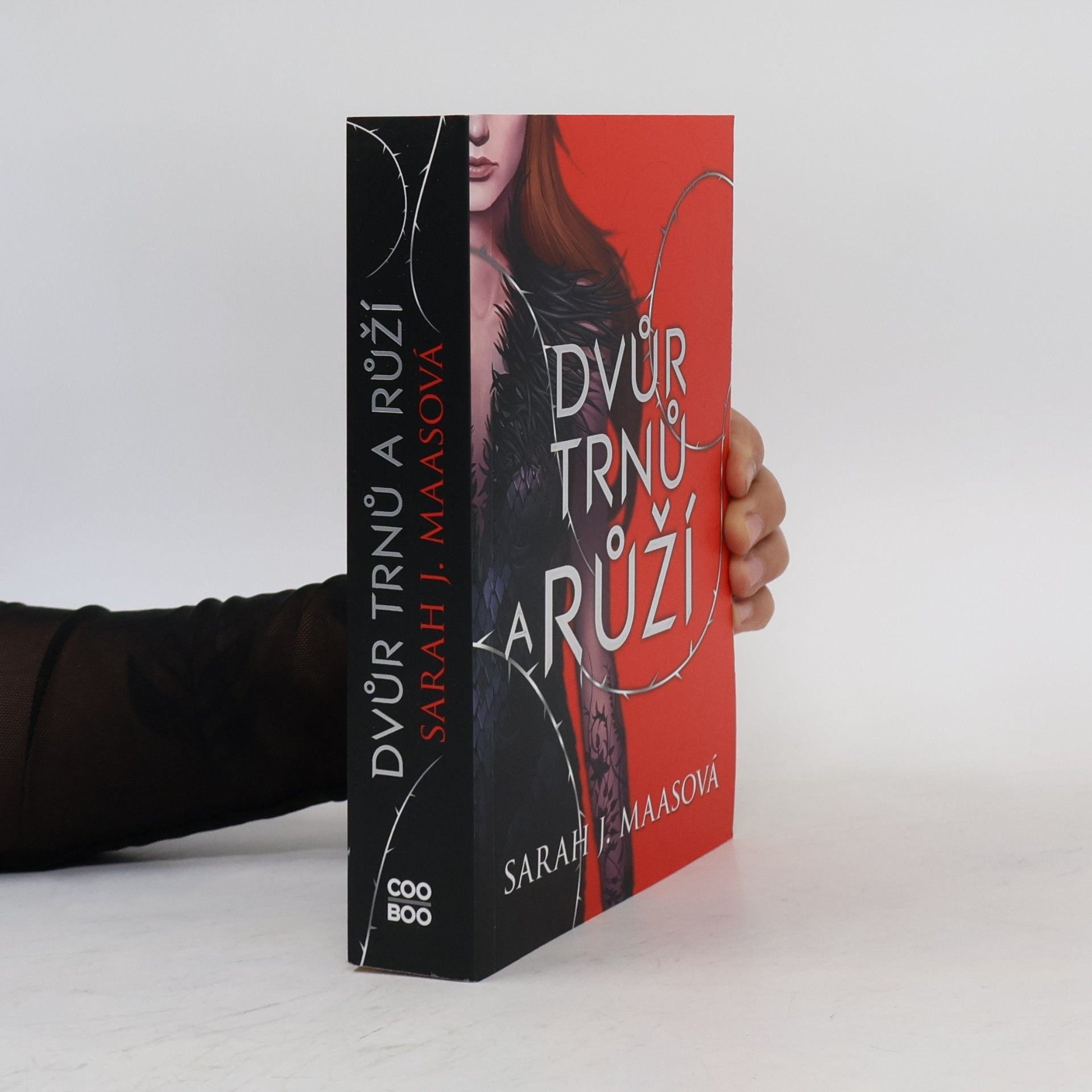 Sarah J. Maas Dvůr trnů a růží