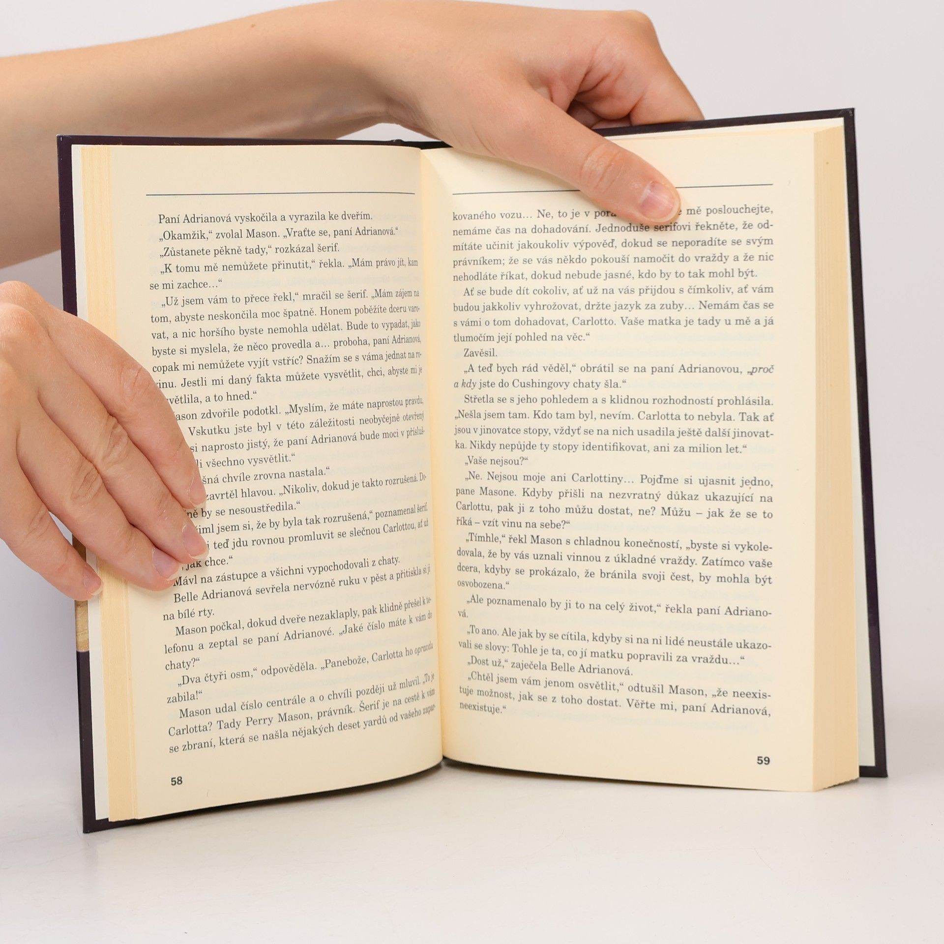 Erle Stanley Gardner Případ pobouřených pozůstalých