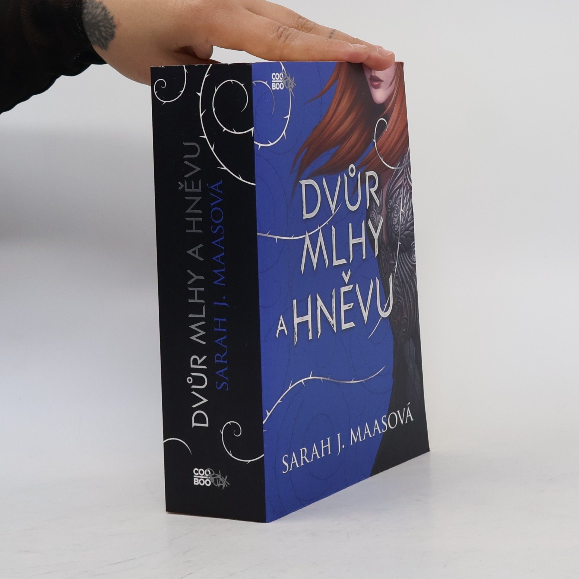 Sarah J. Maas Dvůr mlhy a hněvu