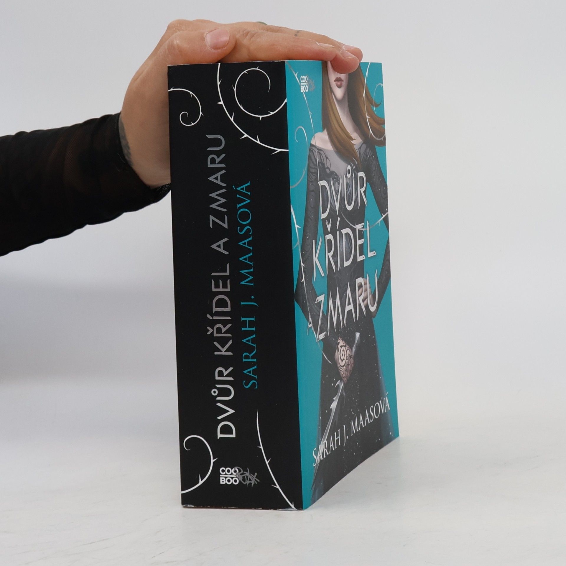 Sarah J. Maas Dvůr křídel a zmaru