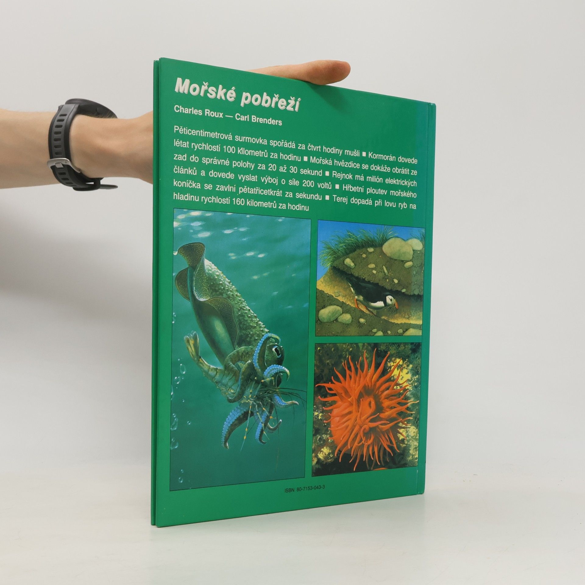Charles Roux Tajuplný život zvířat: Mořské pobřeží