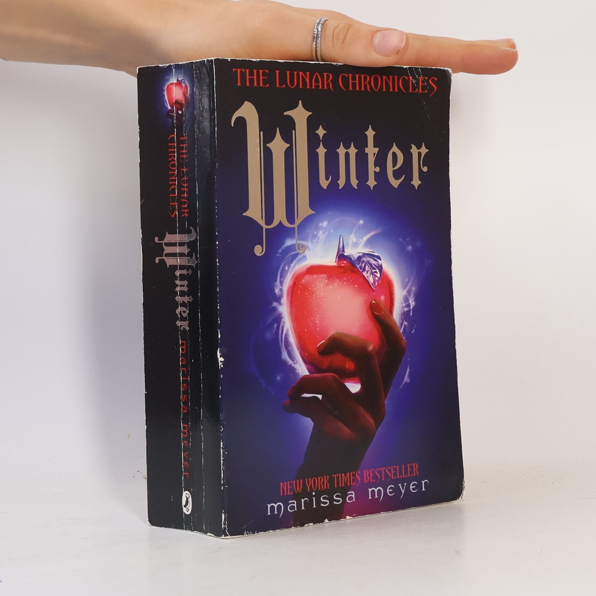 Marissa Meyer Winter
