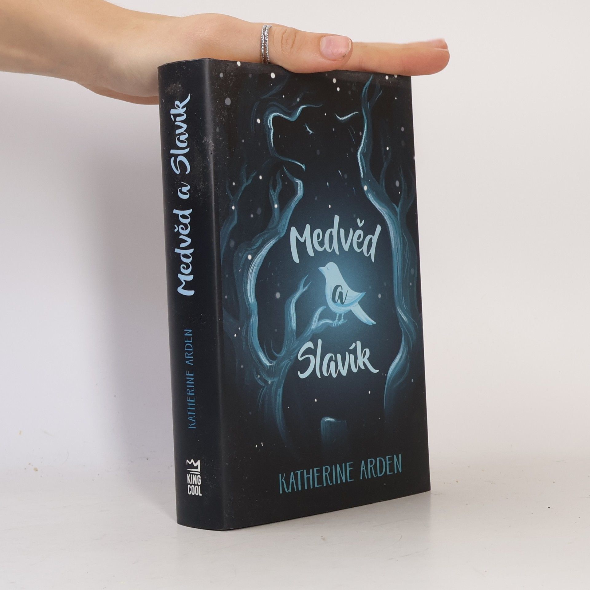 Katherine Arden Medvěd a Slavík