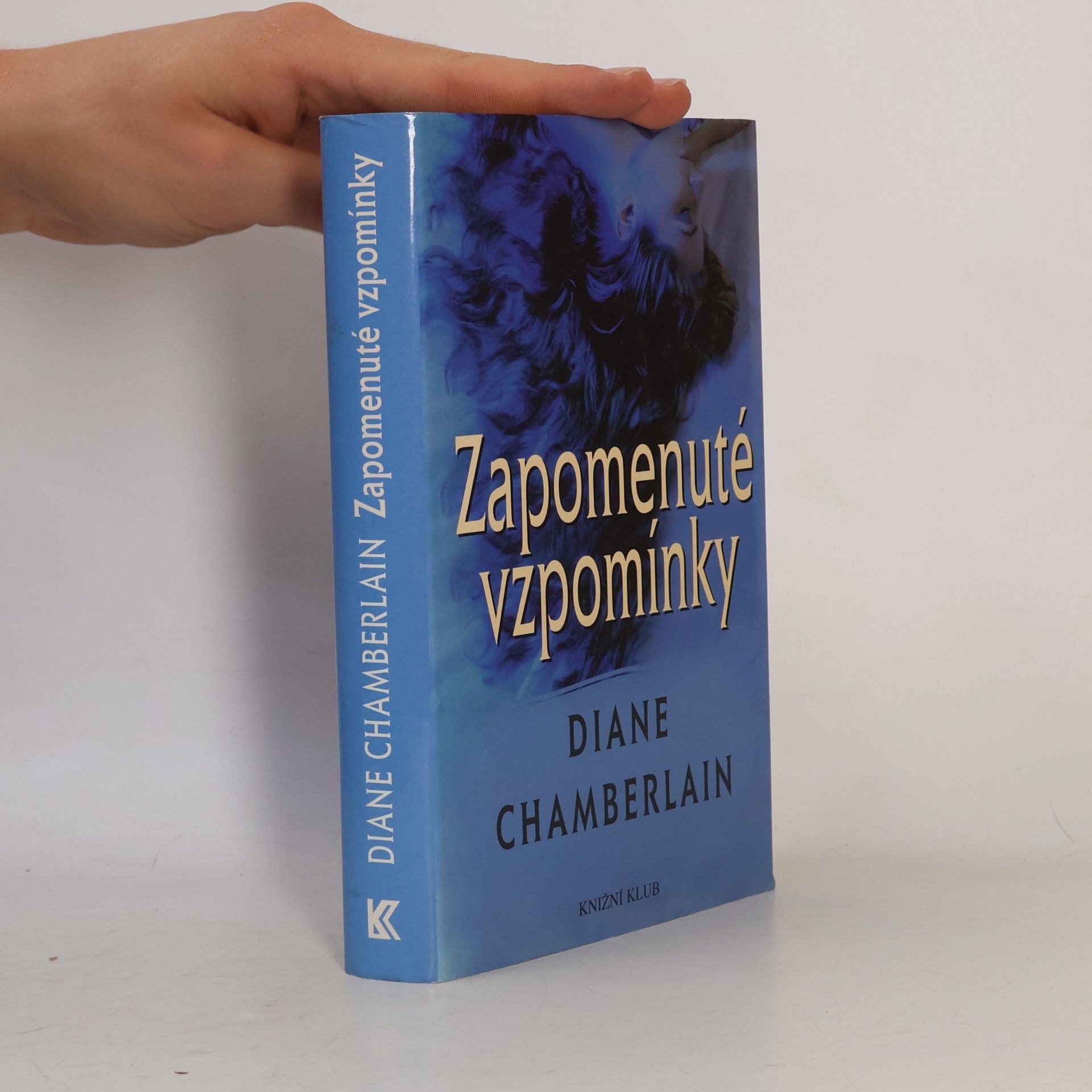 Diane Chamberlain Zapomenuté vzpomínky