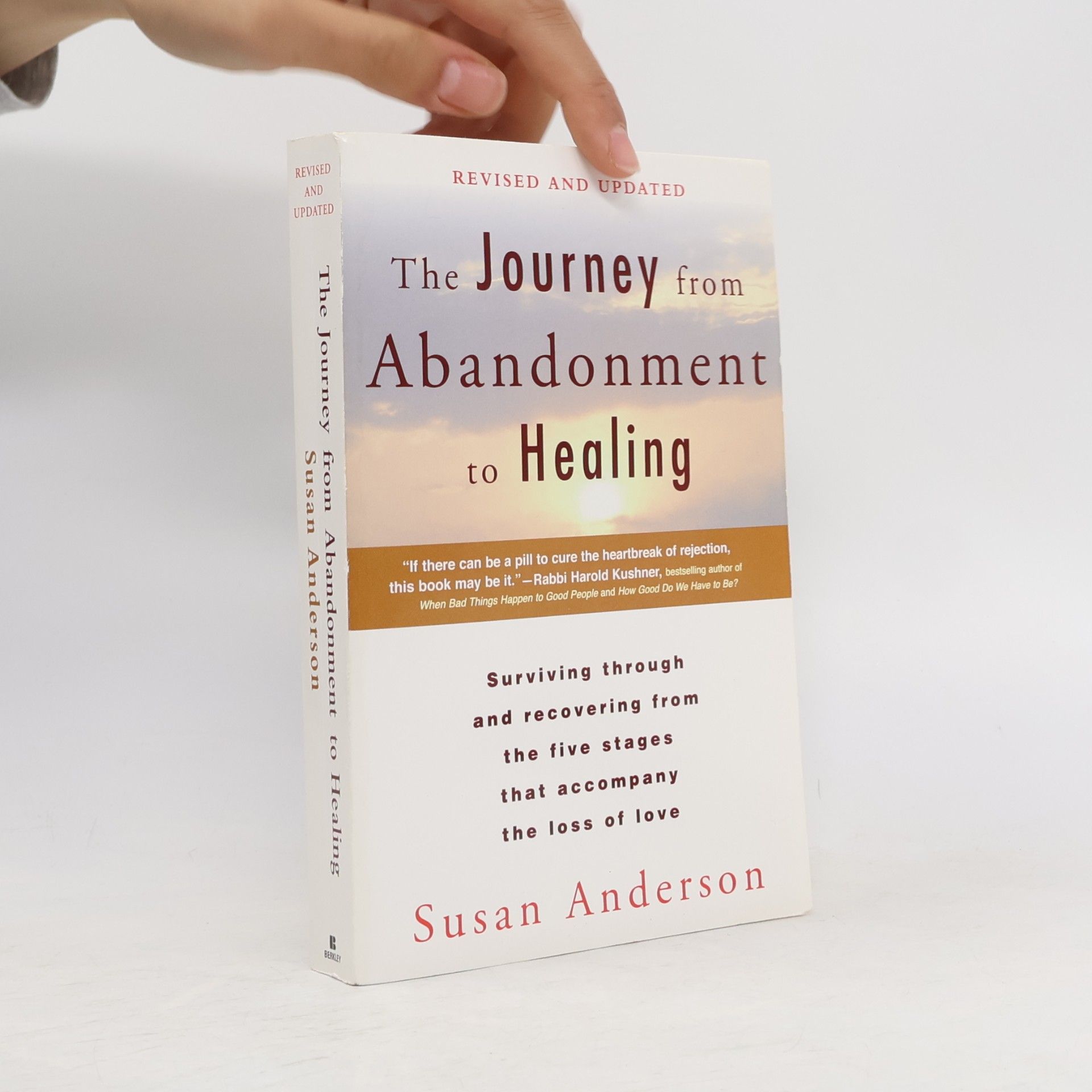 Susan M. Sanderson The Journey from Abandonment to Healing: Revised and Updated