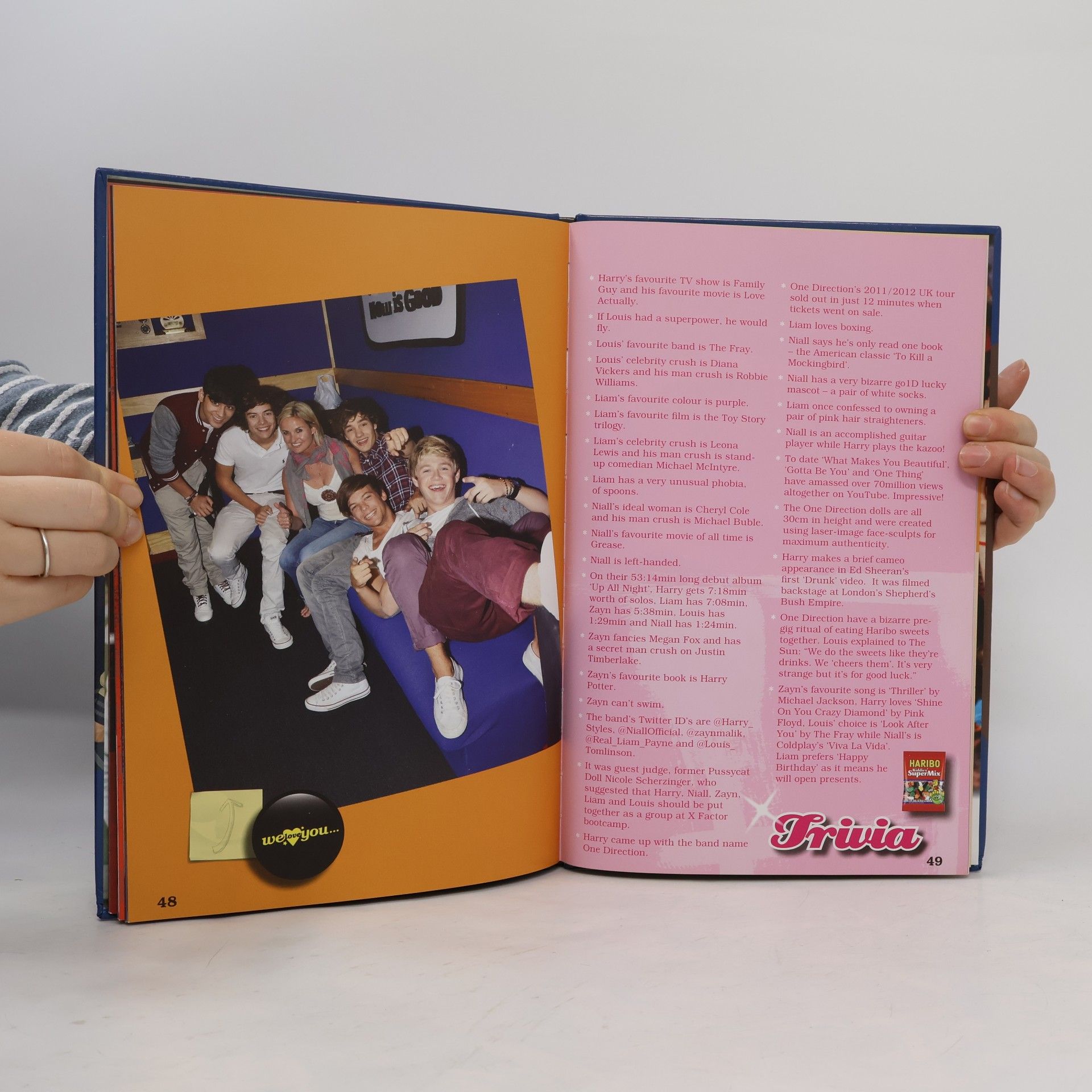 We Love You One Direction Annual 2013