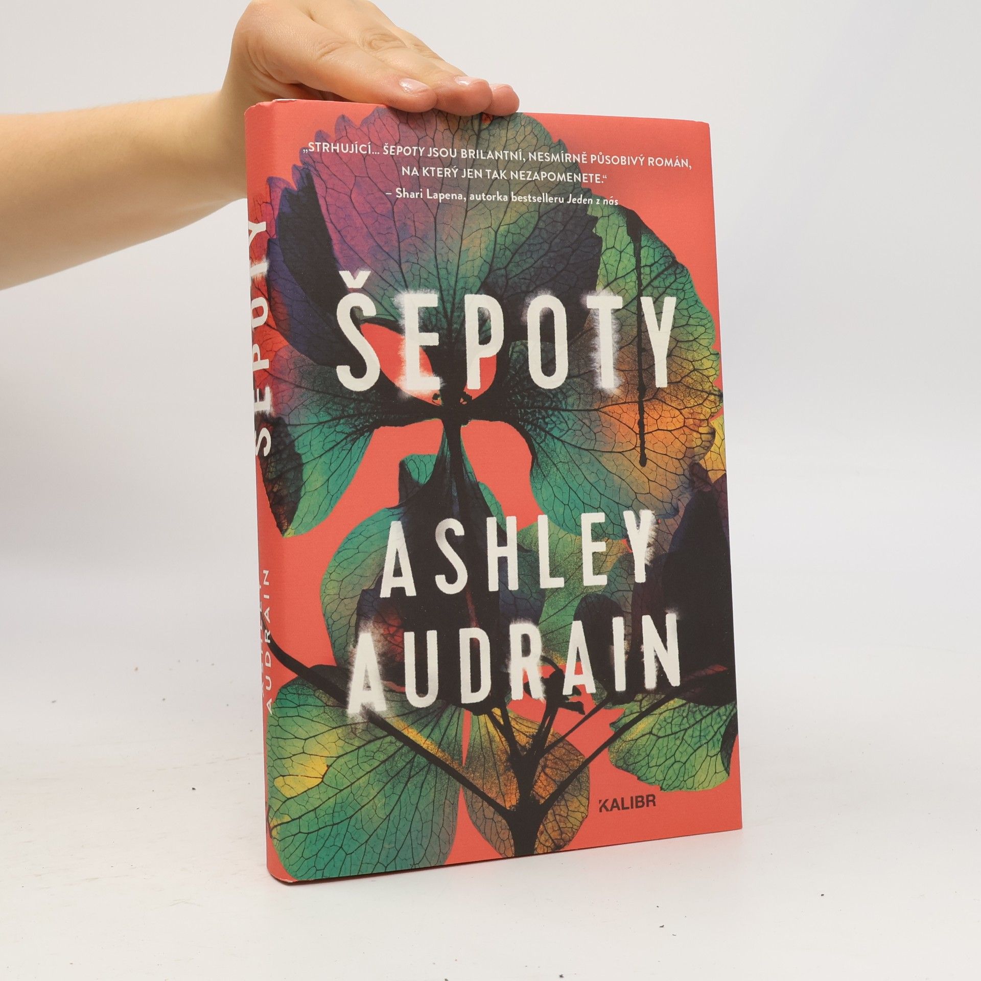 Ashley Audrain Šepoty