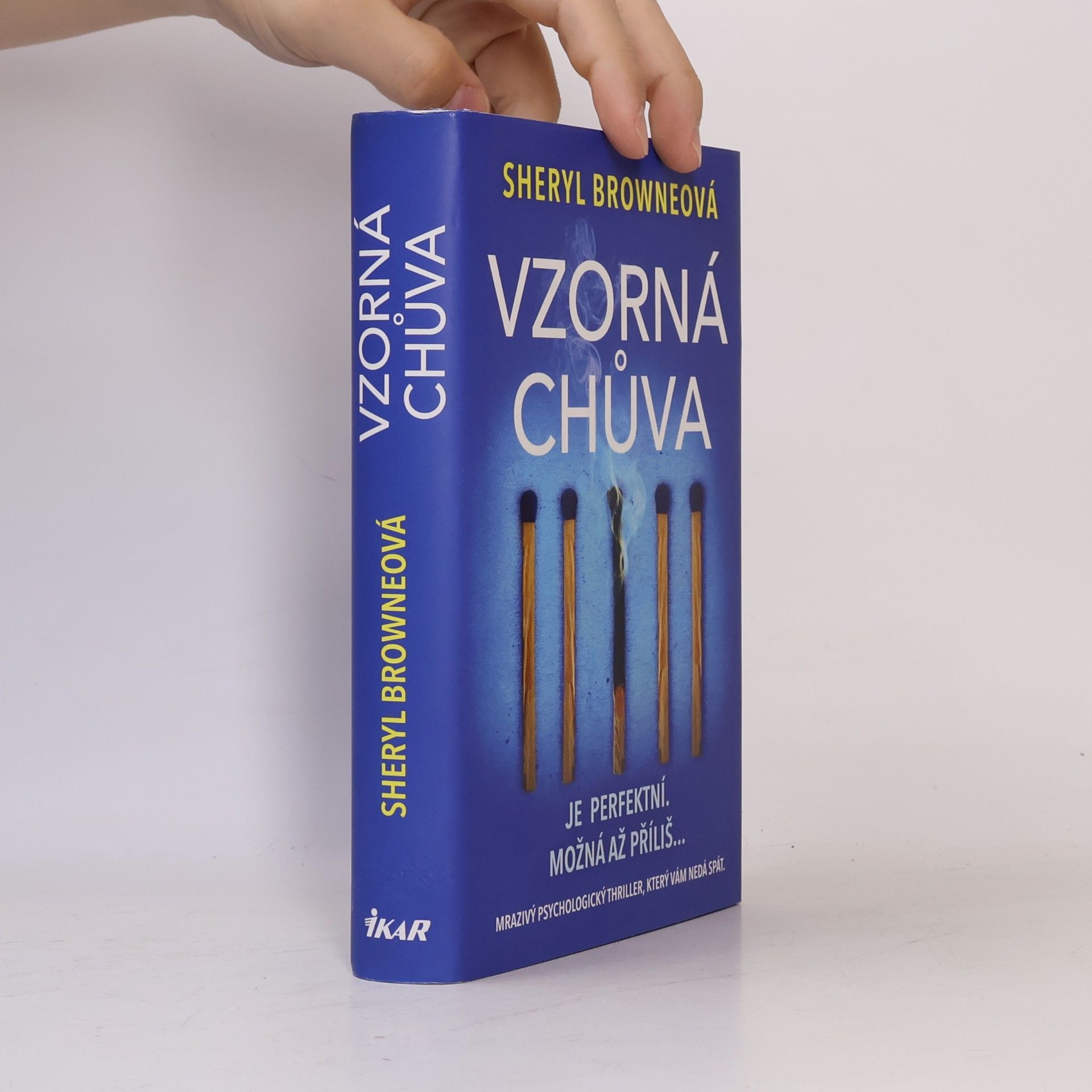 Sheryl Browne Vzorná chůva