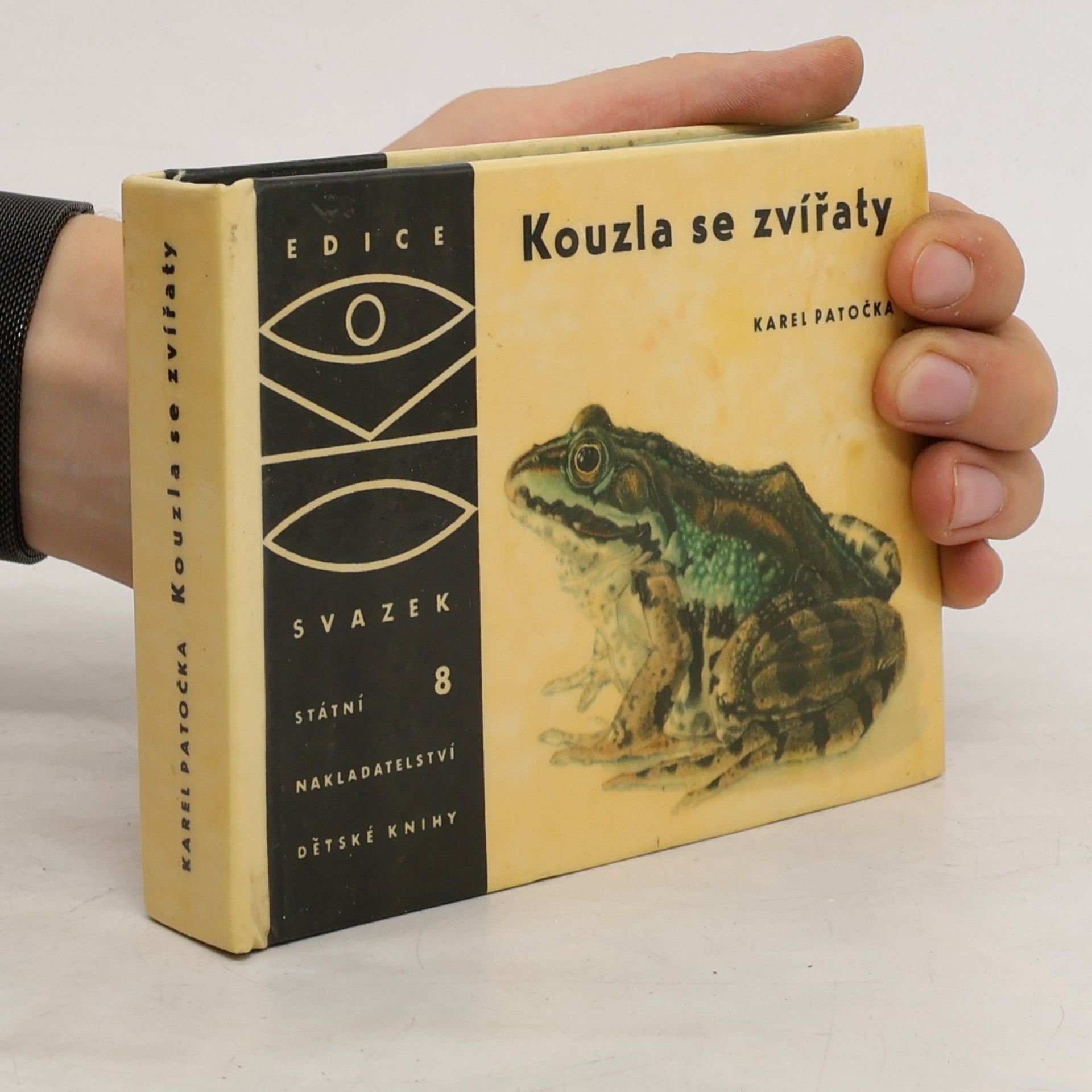 Autorenkollektiv Kouzla se zvířaty